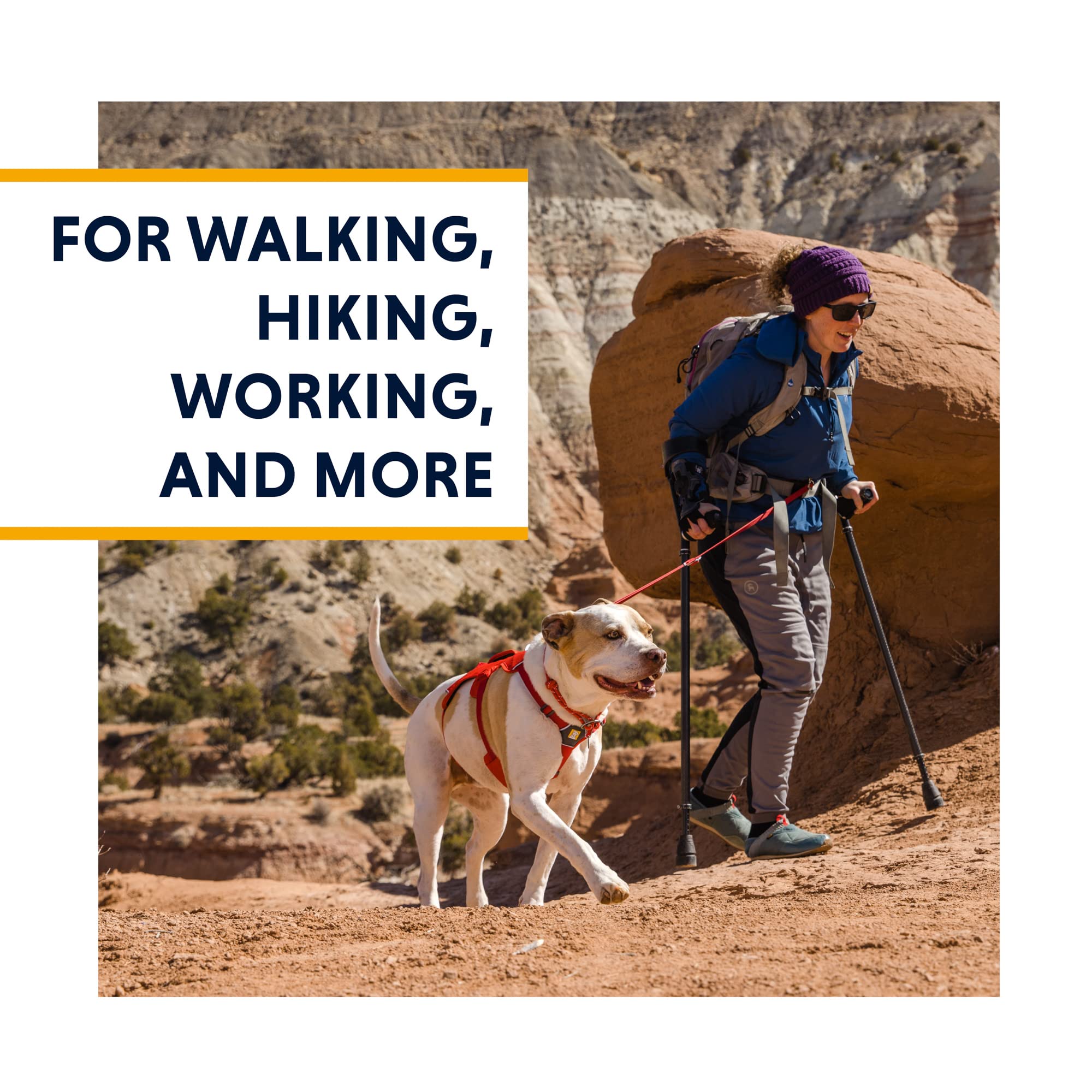 Ruffwear, Web Master, Multi-Use Support Dog Harness, Hiking and Trail Running, Service and Working, Everyday Wear, Slate Blue, M