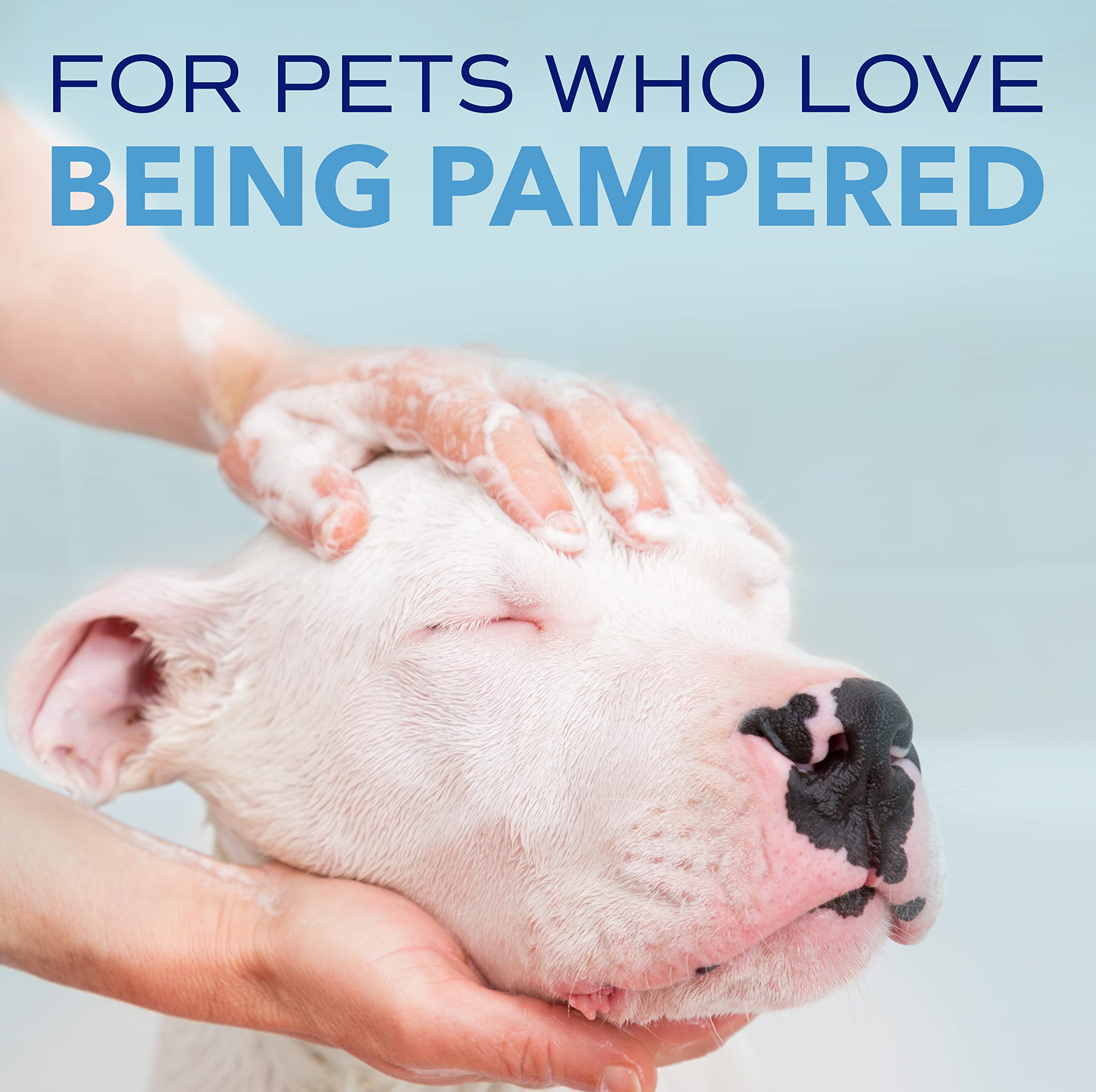 TropiClean Blueberry Facial Shampoo for Dogs - Tear Stain Remover, Odor Eliminator, Tearless, Whitening, 8oz, Made in USA