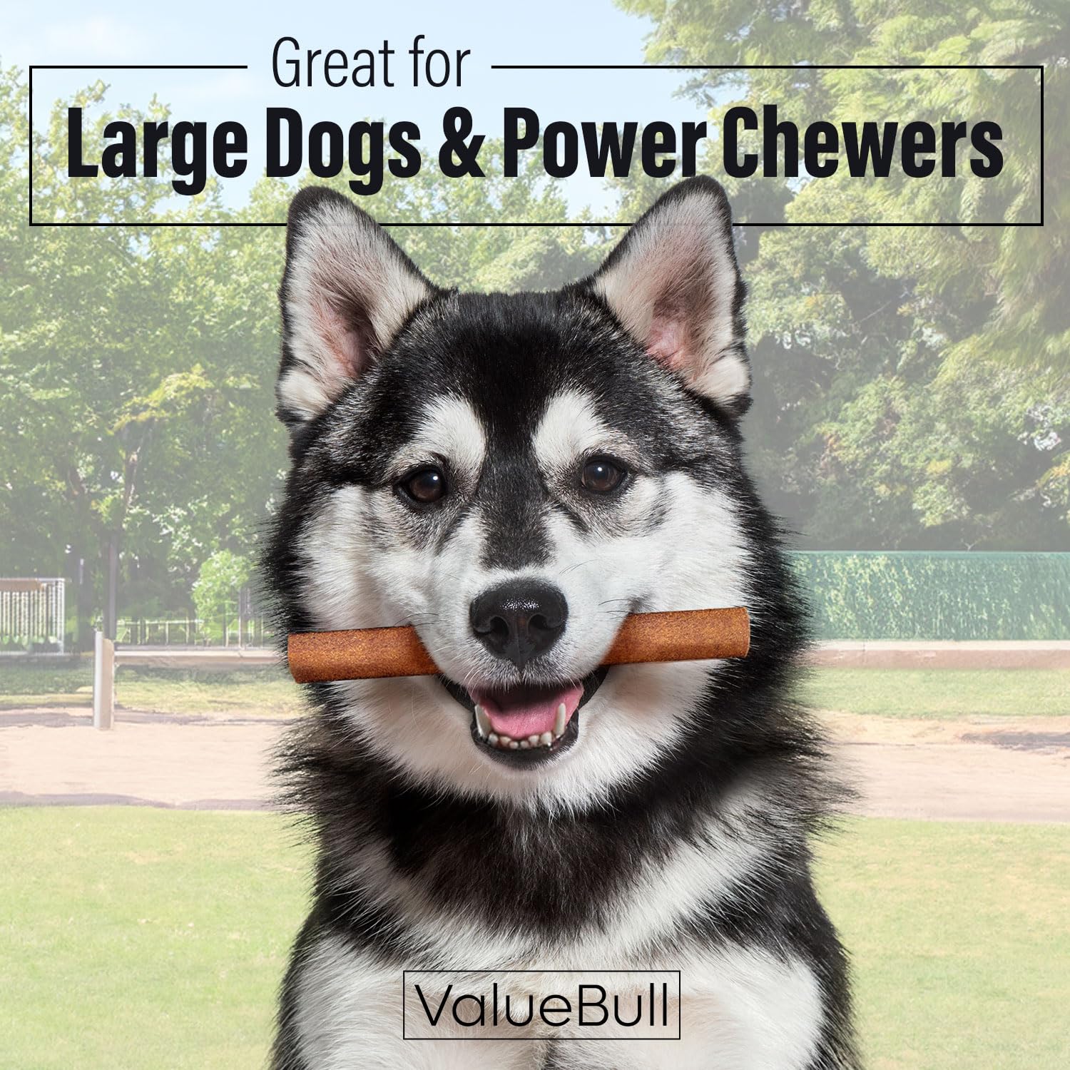 ValueBull Buffalo Collagen Sticks for Dogs, 6 Inch Jumbo Chews, Natural Long-Lasting Dog Treats, 100 Count Bulk Pack - Supports
