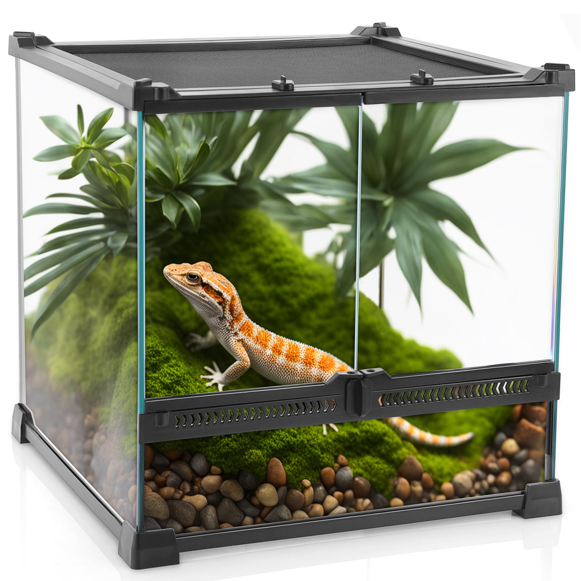 Neptonion Mini Reptile Glass Terrarium 12X12X12 Durable Reptile Habitat Tank With Heat Resistant Aluminum Alloy Frame, Dou