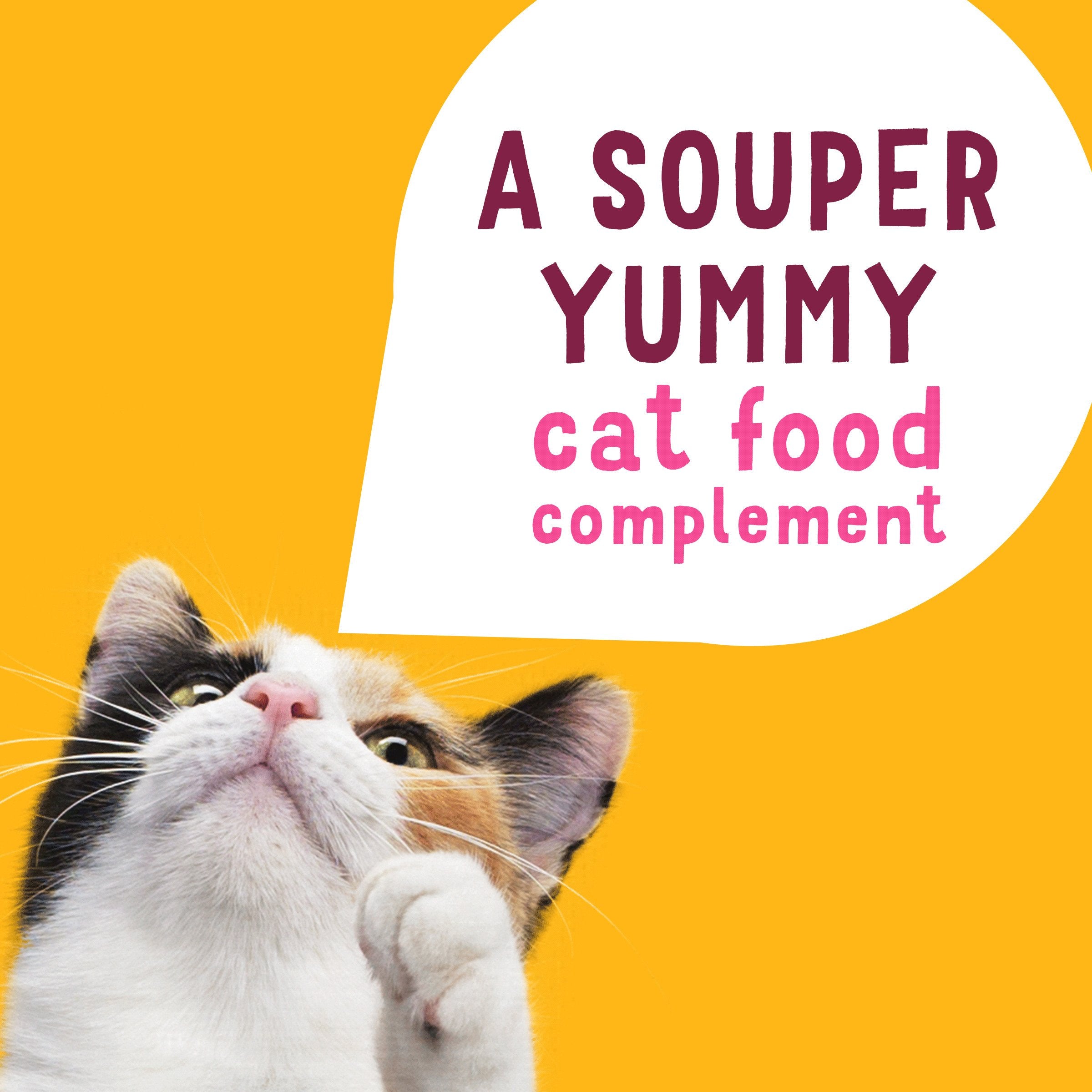 Purina Friskies Grain Free Lickable Cat Food Toppers Lil Soups With Sockeye Salmon in Chicken Broth - (Pack of 8) 1.2 oz. Cups