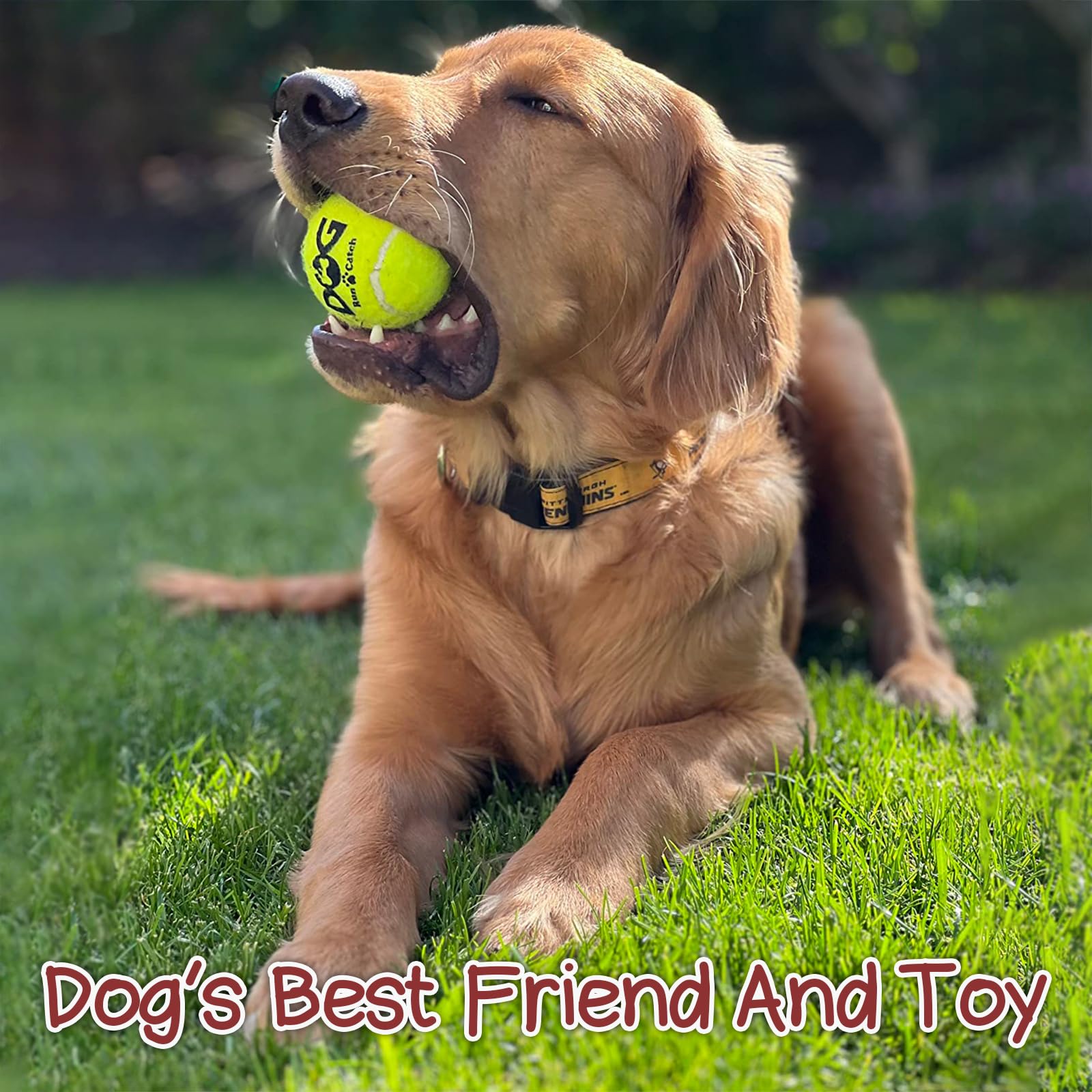 Insum Squeaky Dog Balls - Squeaky Tennis Balls For Dogs, Blue | Medium - 2.5'', 6Pack