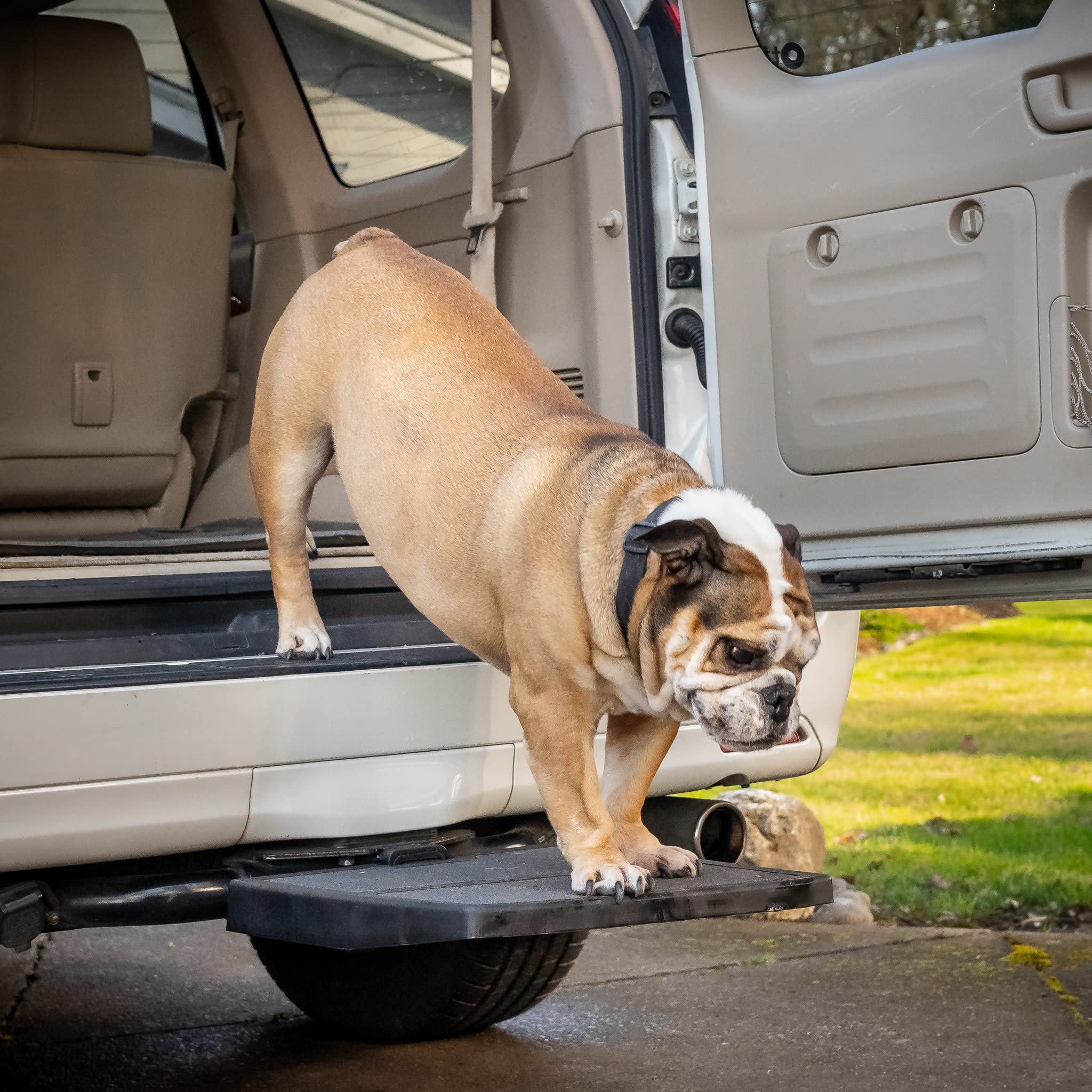 Otto Step Car Pet Ramp Pet Step