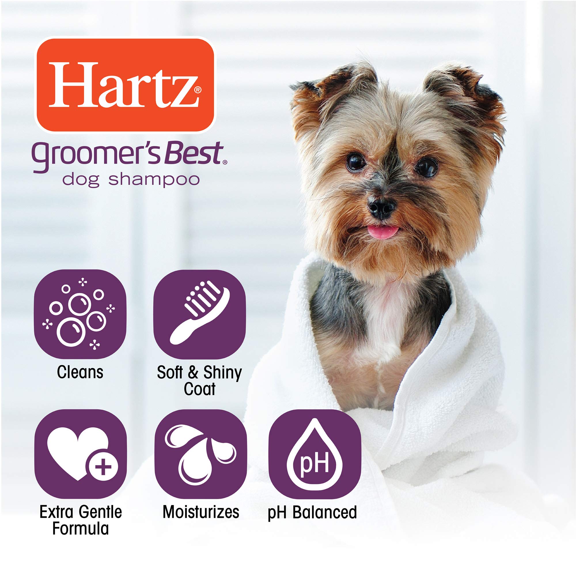 Hartz Groomer's Best Conditioning Shampoo for Dogs