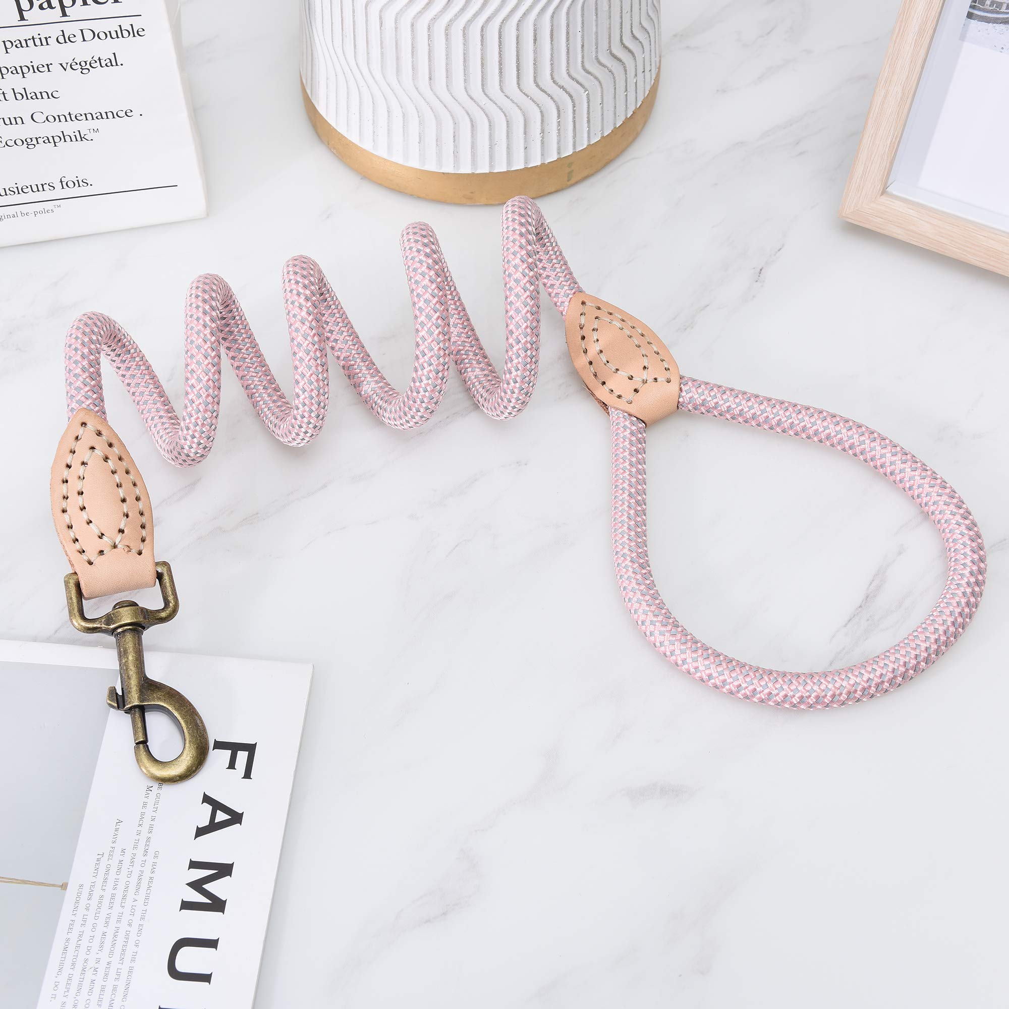 Mile High Life | Chew Proof Dog Leash | Dog Rope Leash | Reflective Dog Leashes | Climbing Rope Dog 4Ft Leash W Leather Tip(Pink, 60 Inch)