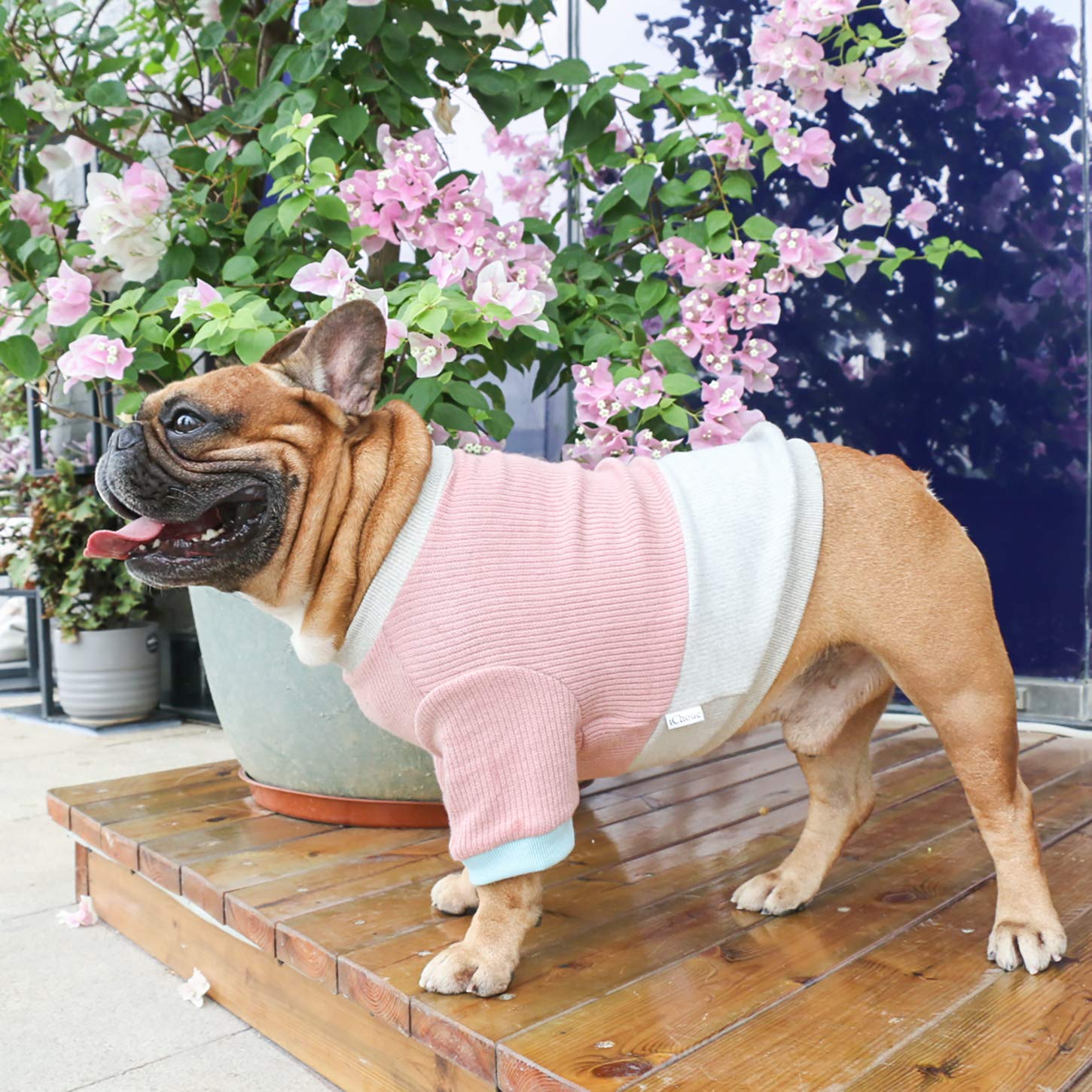 Ichoue Pet Dog Crewneck Sweater Color Block Pullover Winter Warm Clothes For English Bulldog Bully Pitbull - Pink And Grey/Xlarg