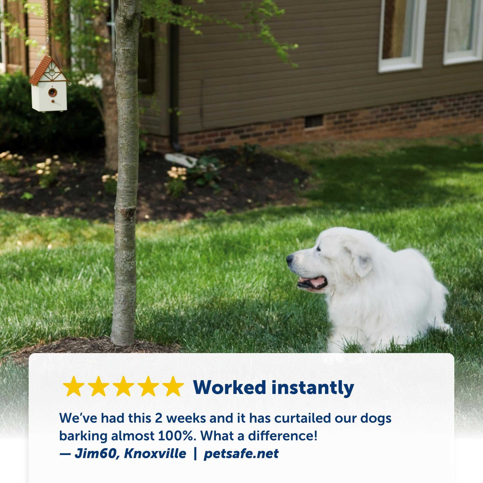 Petsafe Outdoor Ultrasonic Bark Control - Viral On Tiktok - No Barking Deterrent For All Dog Sizes - Up To 1/4 Acre Coverage - W