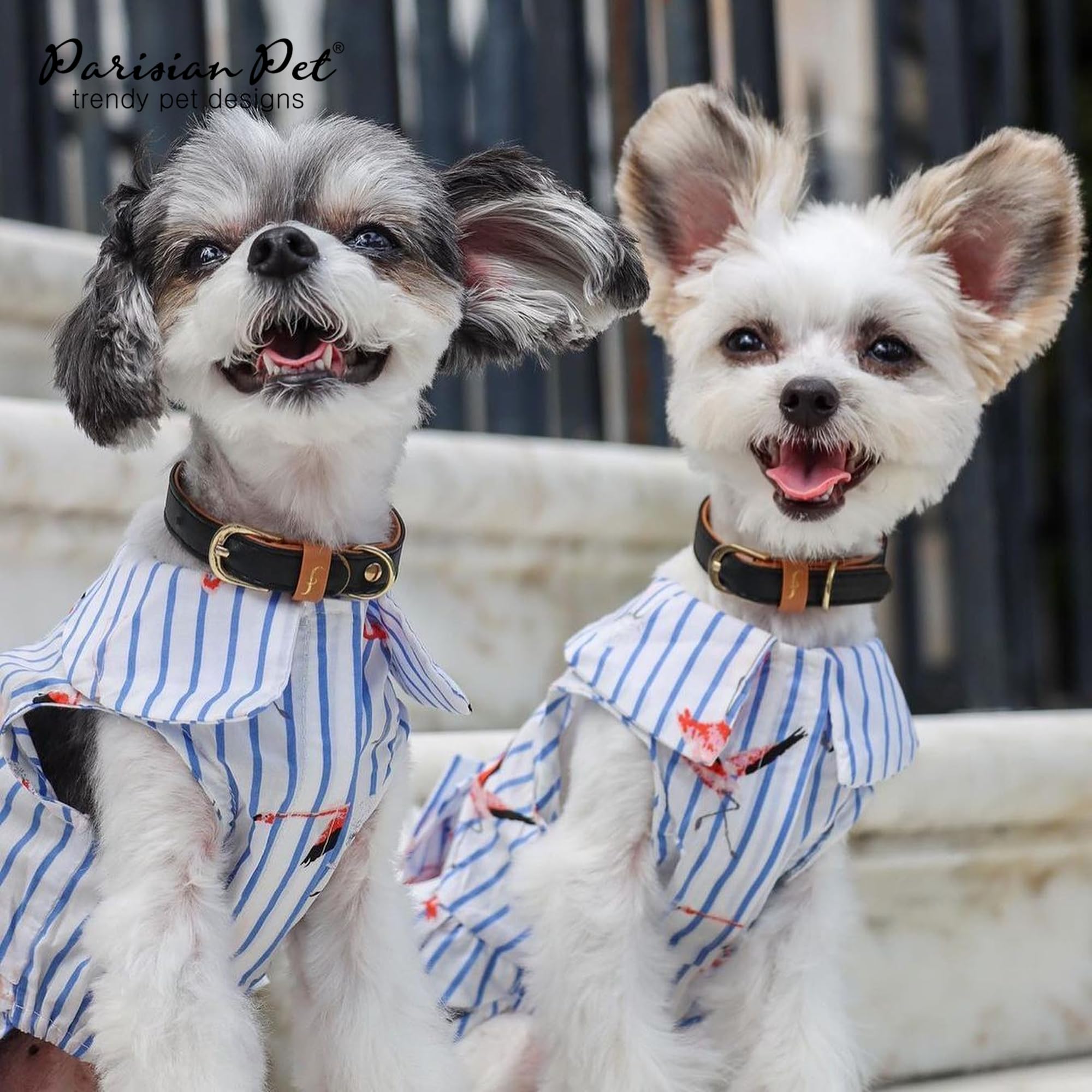 Parisian Pet Flamingo Dress - Girly Summer Dog Dress - 100% Cotton, Lightweight, Sleeveless - Large Dogs Girl Dress