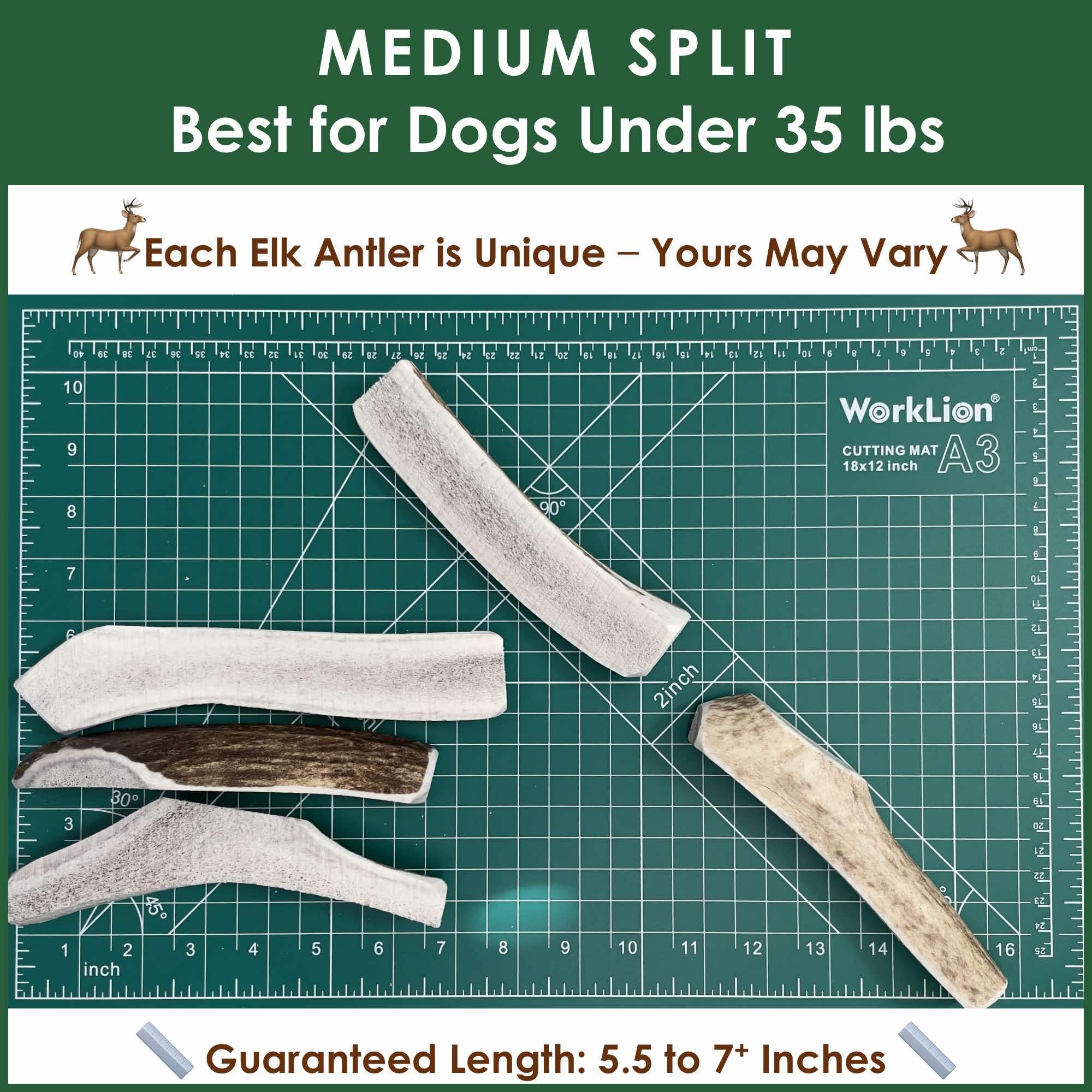 Deluxe Naturals Elk Antler Dog Chews | Long-Lasting A-Grade Premium Elk Antler Chews for Dogs from Naturally Shed Elk Antlers Co