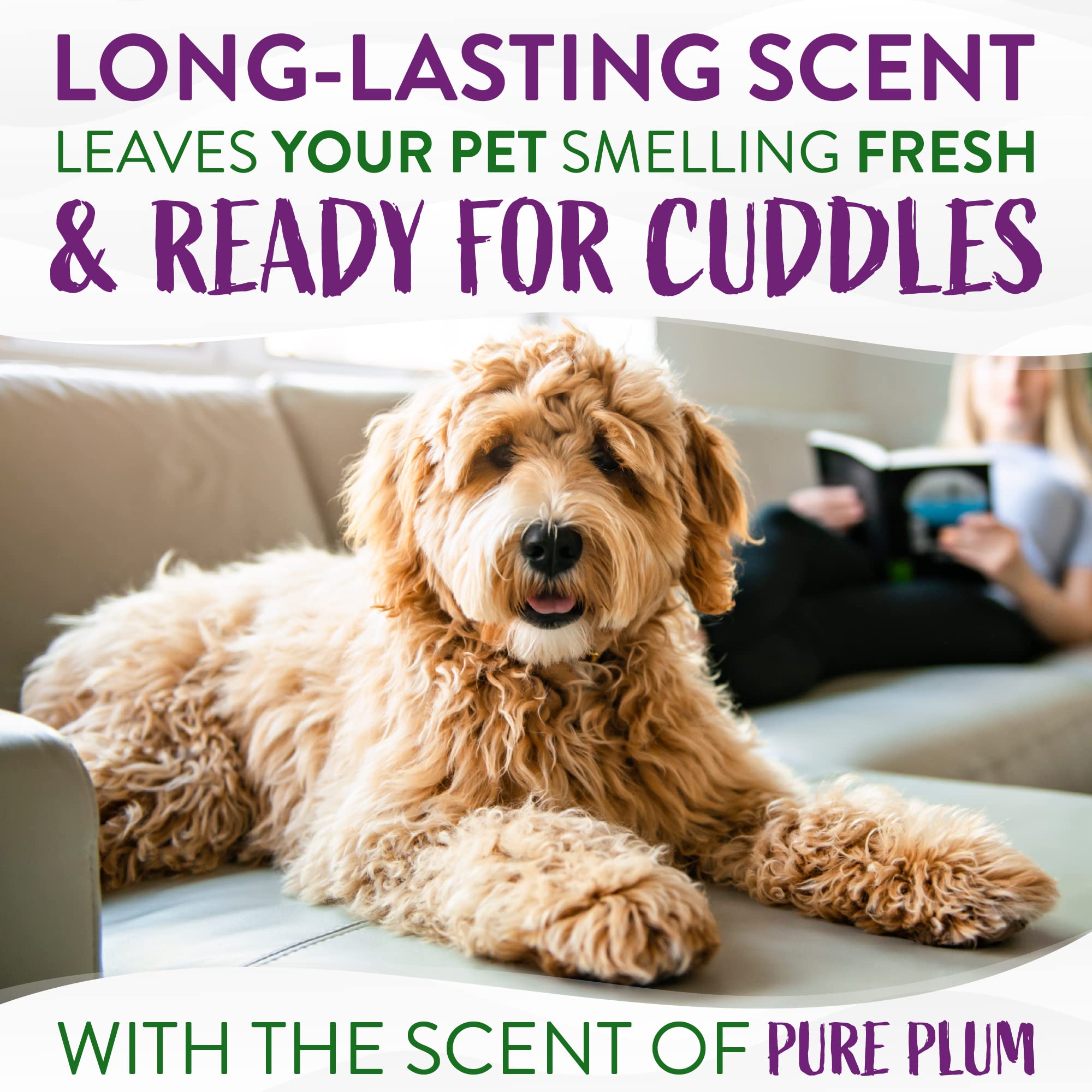 Tropiclean Dog Perfume, Long Lasting Plum Cologne, Deodorizing Spray For Smelly Dogs, After Bath Detangling Spray With Vitamin E