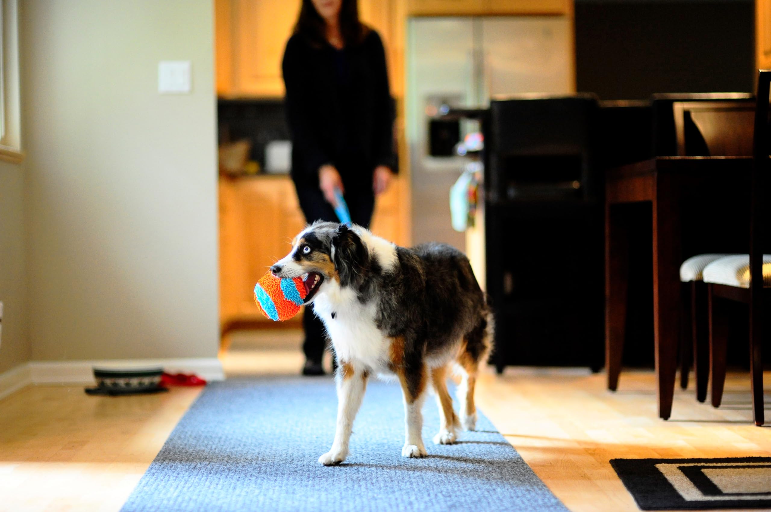 Chuckit! Indoor Fetch Ball Dog Toy For Dogs - Interactive Dog Toys For Boredom, 4.75 Inch, Orange And Blue