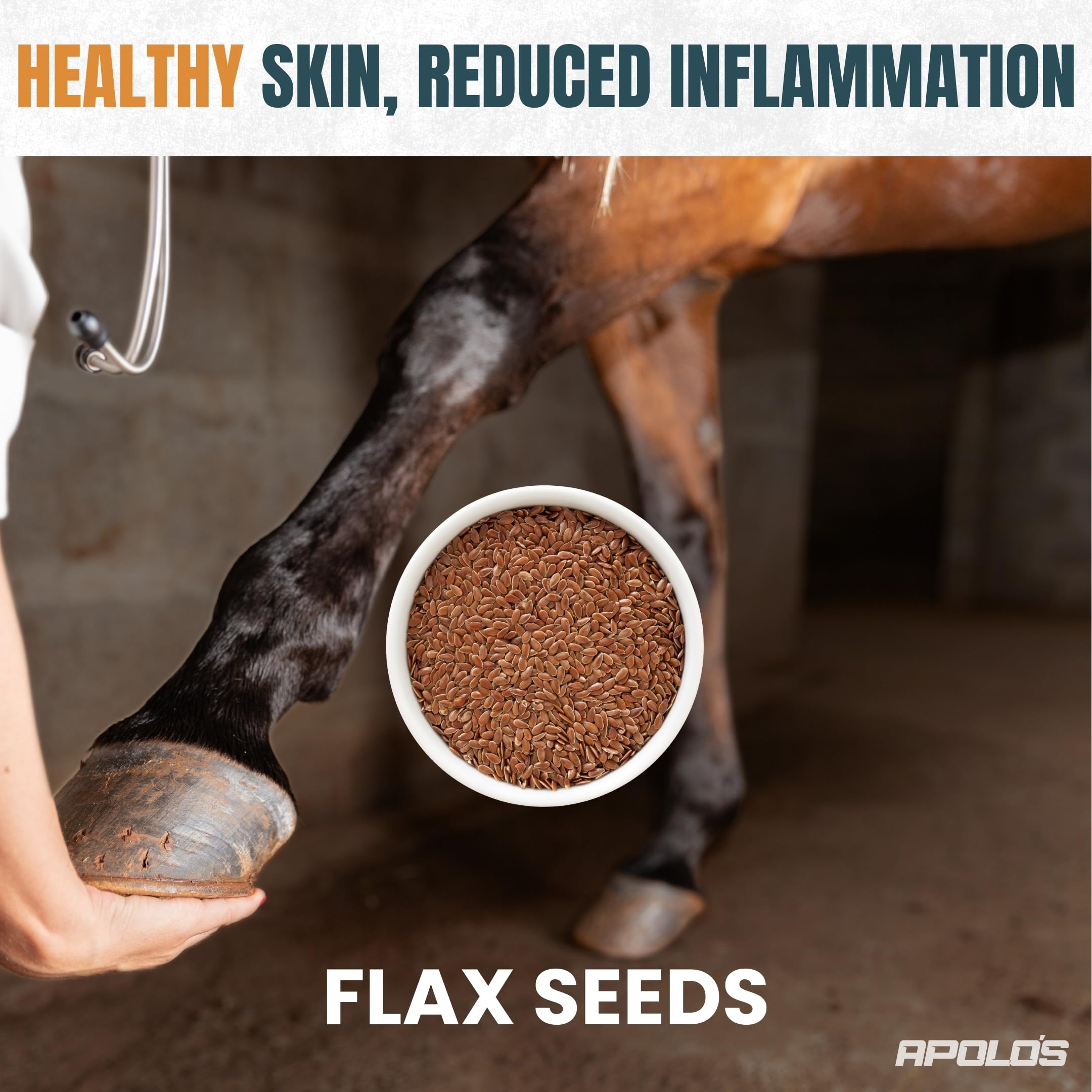 APOLOS Premium Horse Supplement - Flaxseed, Organic Quinoa & Chia | High-Nutrient, Natural Formula | Supports Digestion, Coat S
