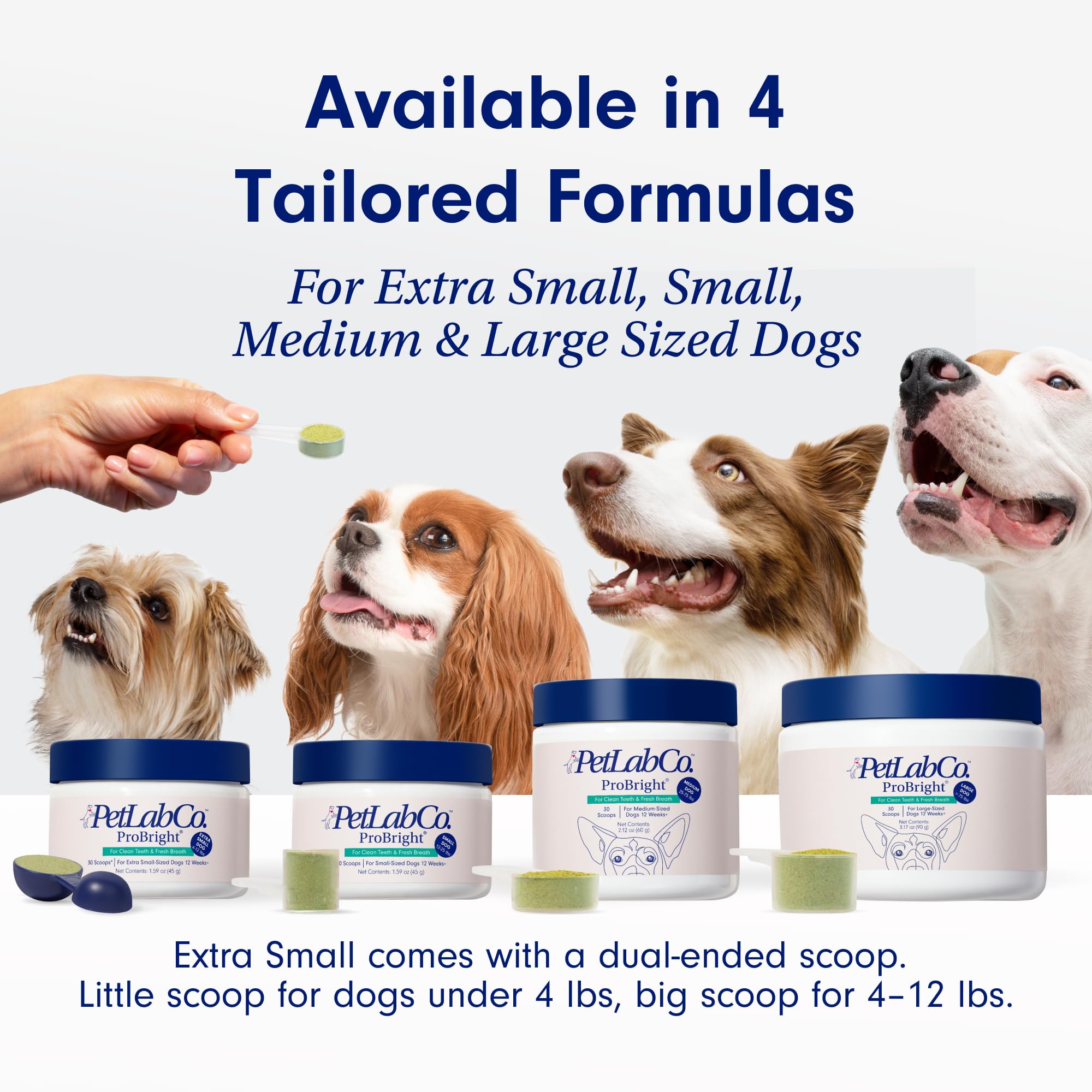 PetLab Co. ProBright Dental Powder - Dog Breath Freshener - Teeth Cleaning Made Easy - Targets Tartar & Bad Breath - Formulated