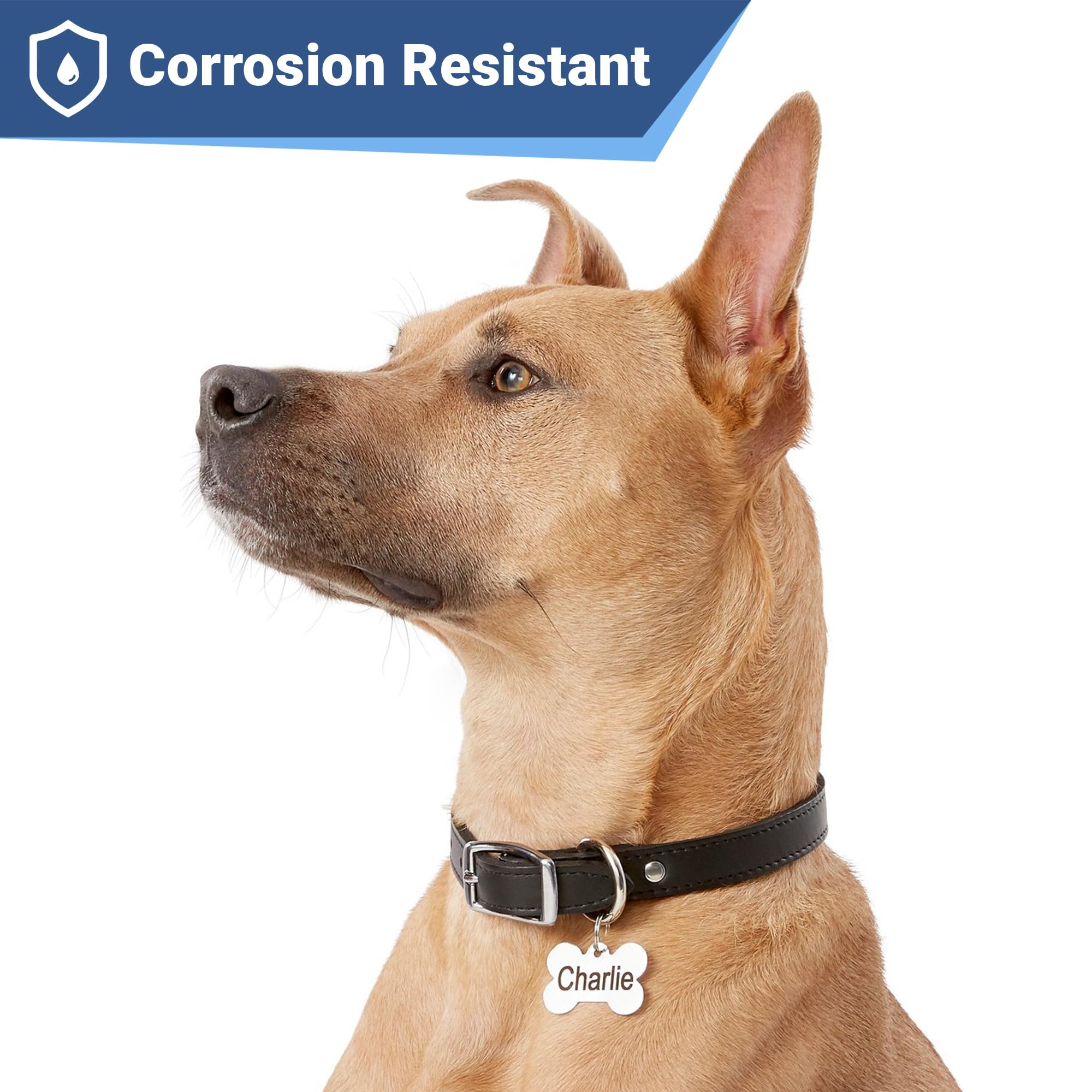 Gotags Stainless Steel Pet Id Tags, Personalized Dog Tags And Cat Tags, Up To 8 Lines Of Custom Text, Engraved On Both Sides, In