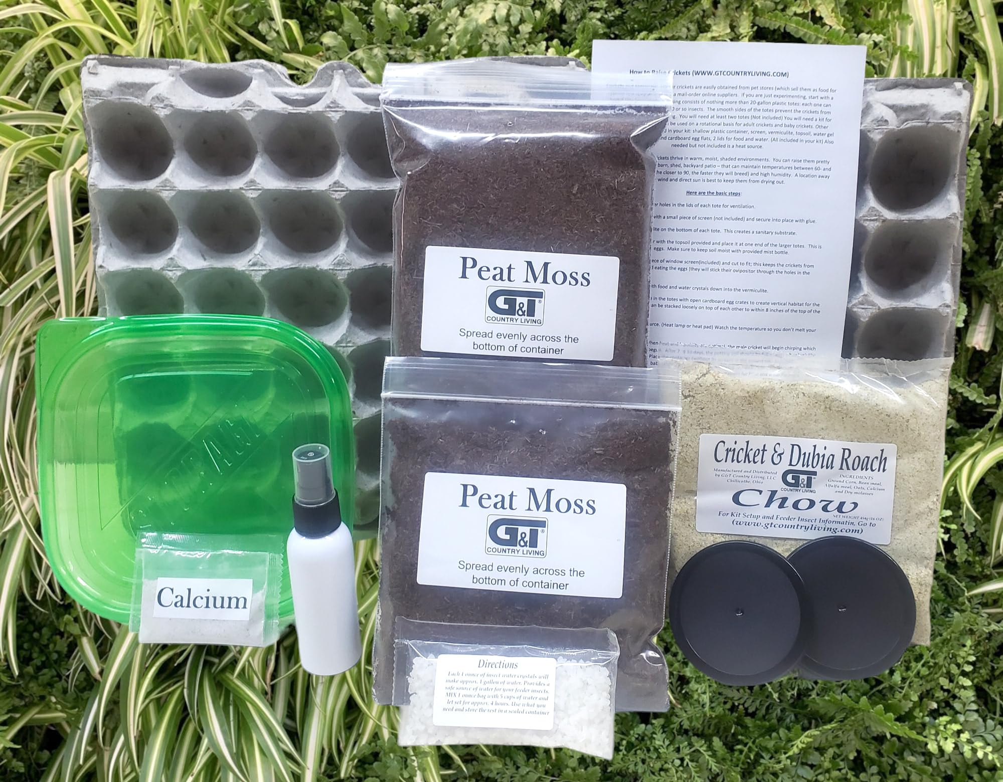 G&T Country Living Cricket Colony Starter Kit for Breeding Feeder Crickets (1-Tub Setup) - Easy Habitat for Reptile Owners, Inse