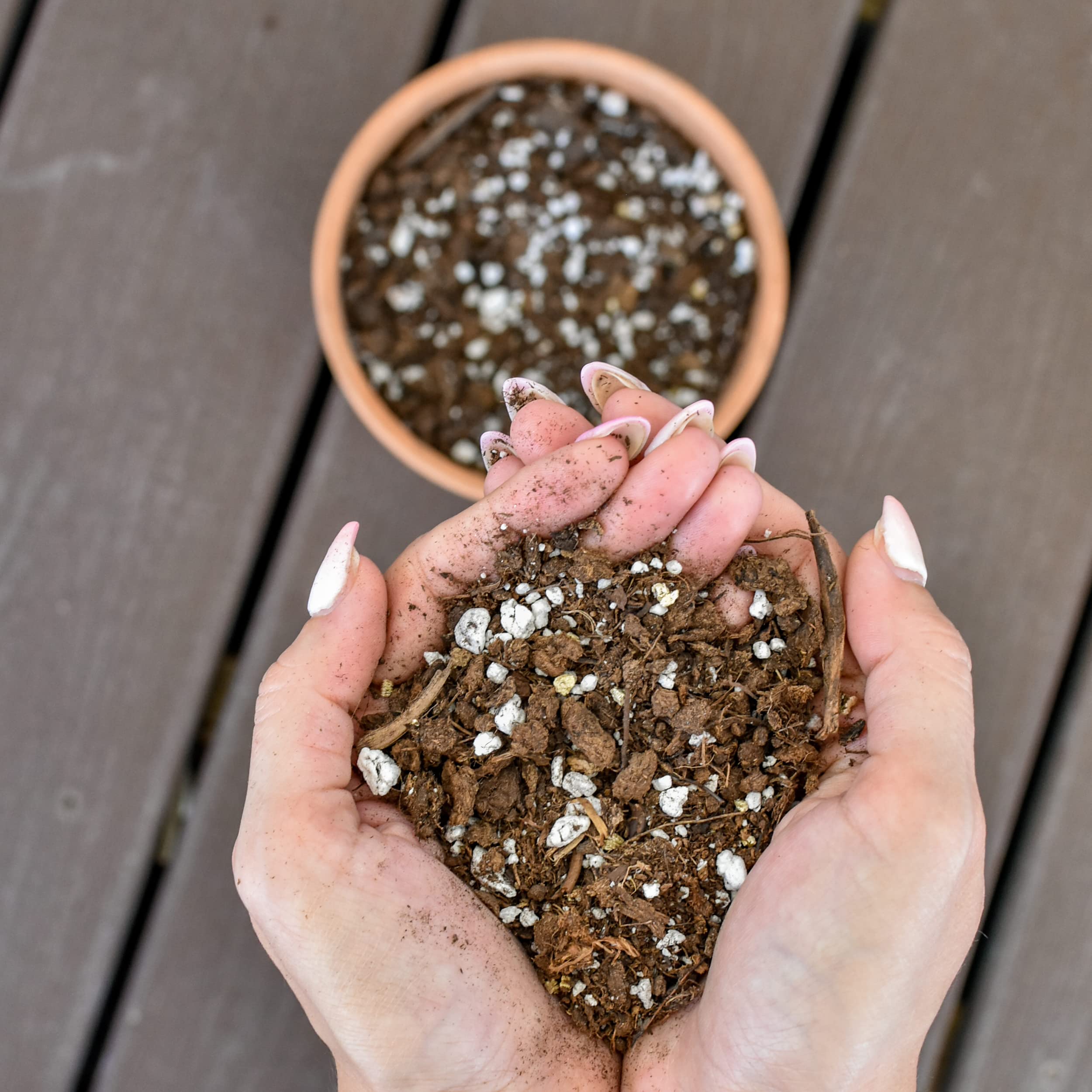 Citrus Tree Potting Soil Mix (8 Quarts), Special Blend For Indoor Oranges, Lemons, Limes And More
