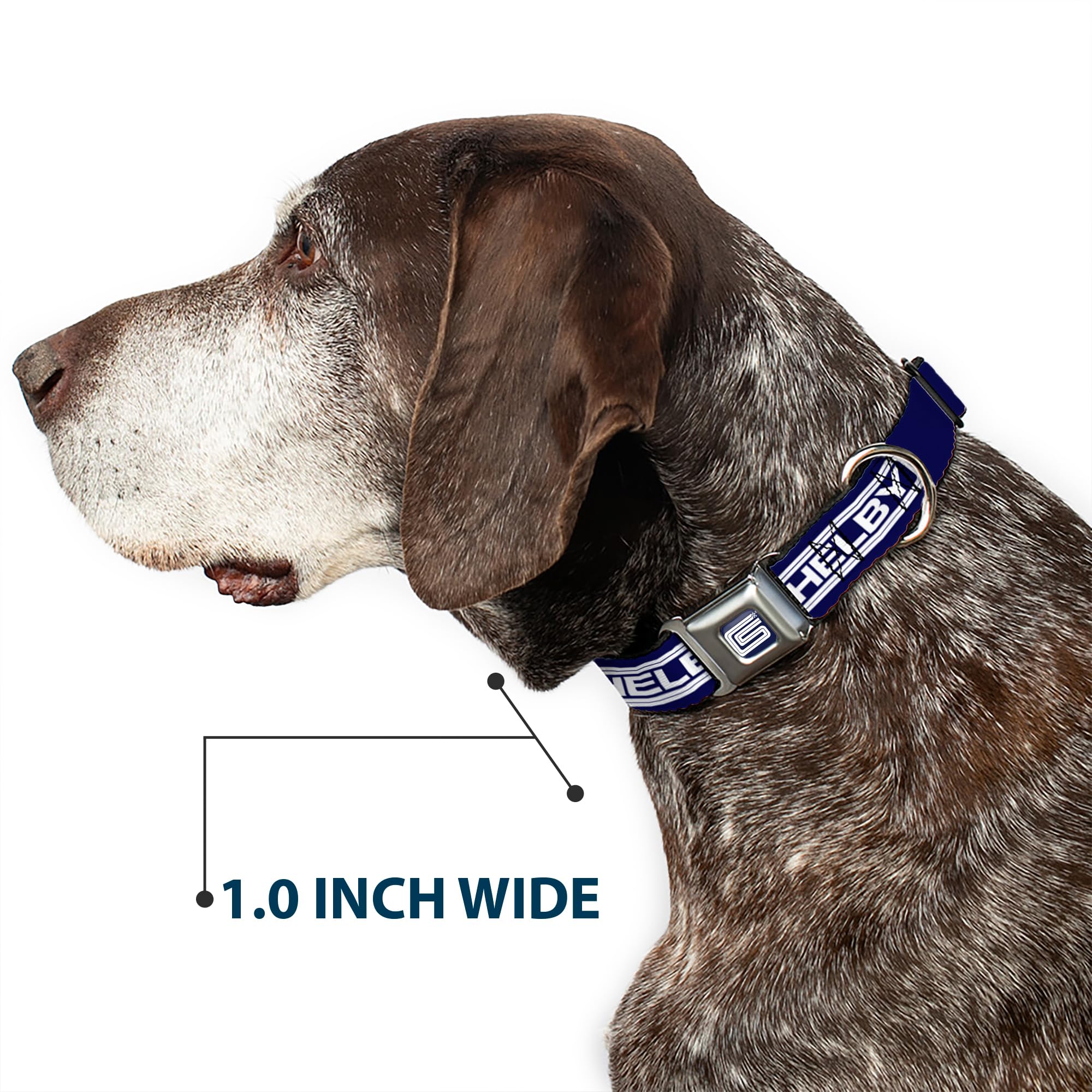 Buckle-Down Dog Collar Seatbelt Buckle Carroll Shelby Cs Shelby Racing Logo Block Navy White 9.5 To 13 Inches 1.0 Inch Wide (Dc-