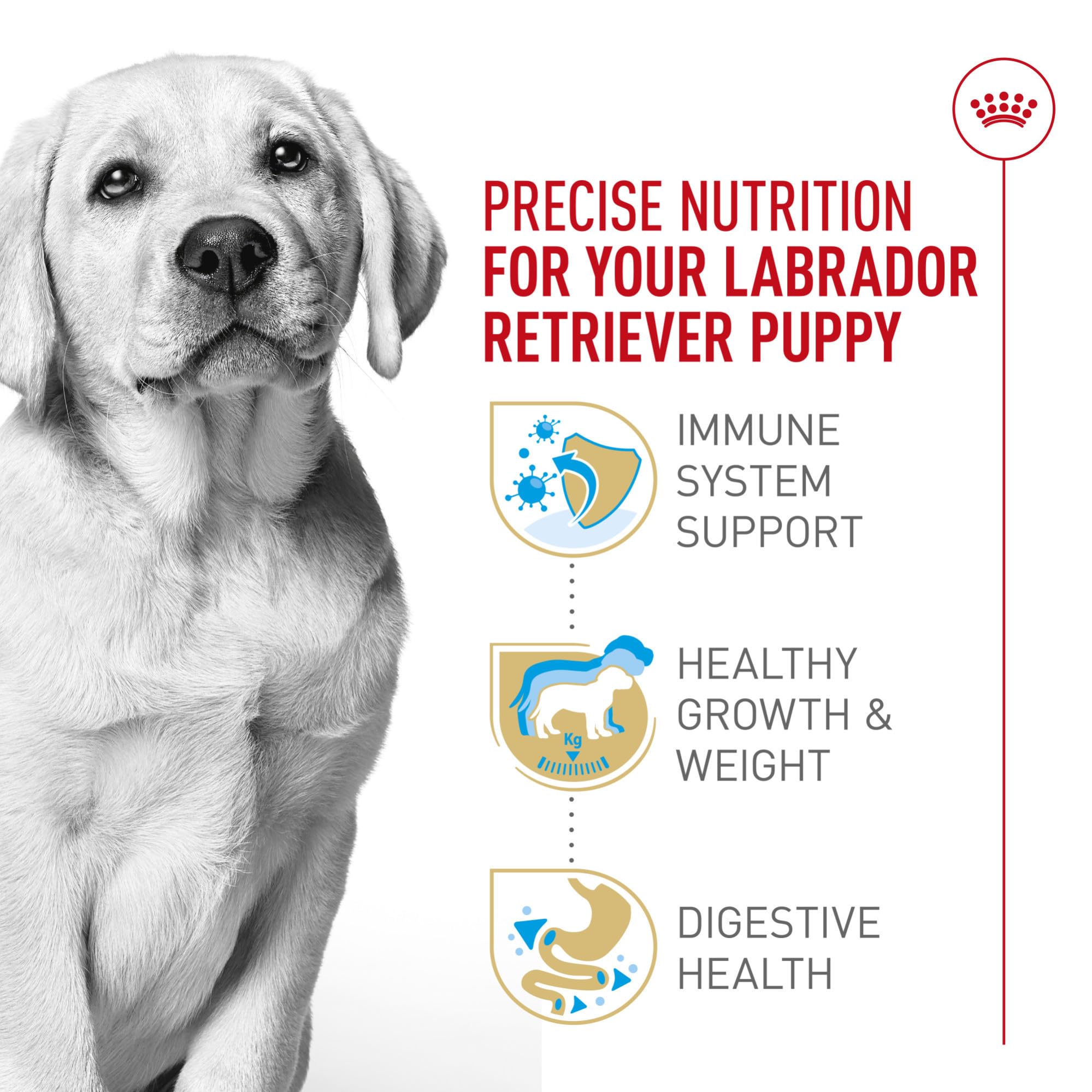 Royal Canin Breed Health Nutrition Labrador Retriever Puppy Dry Dog Food, 30 lb.