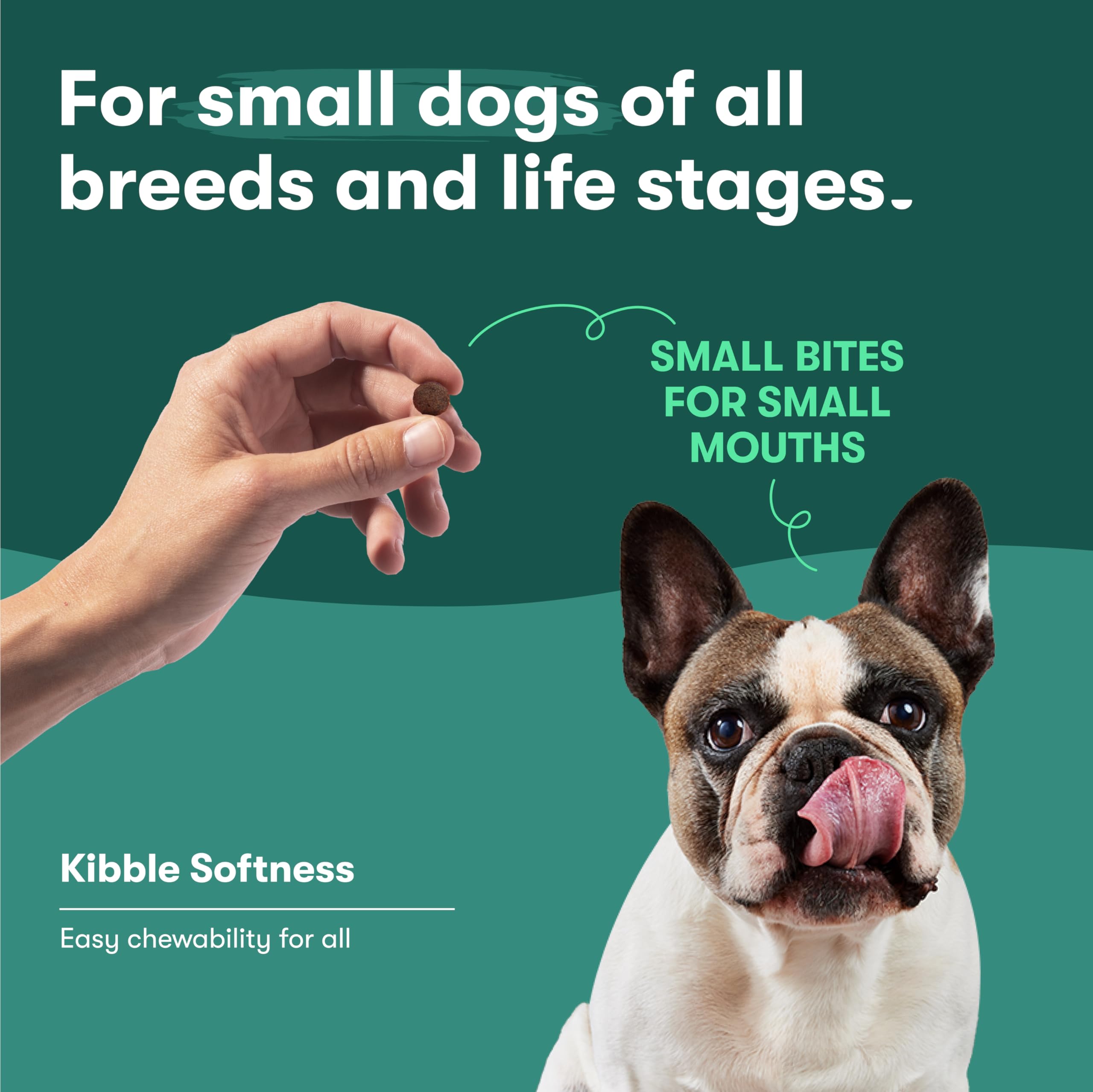 Jinx Premium Grain-Free Dry Dog Food, for All Lifestages - Real Salmon, Sweet Potato & Carrot Puppy Kibble with Superfoods for I