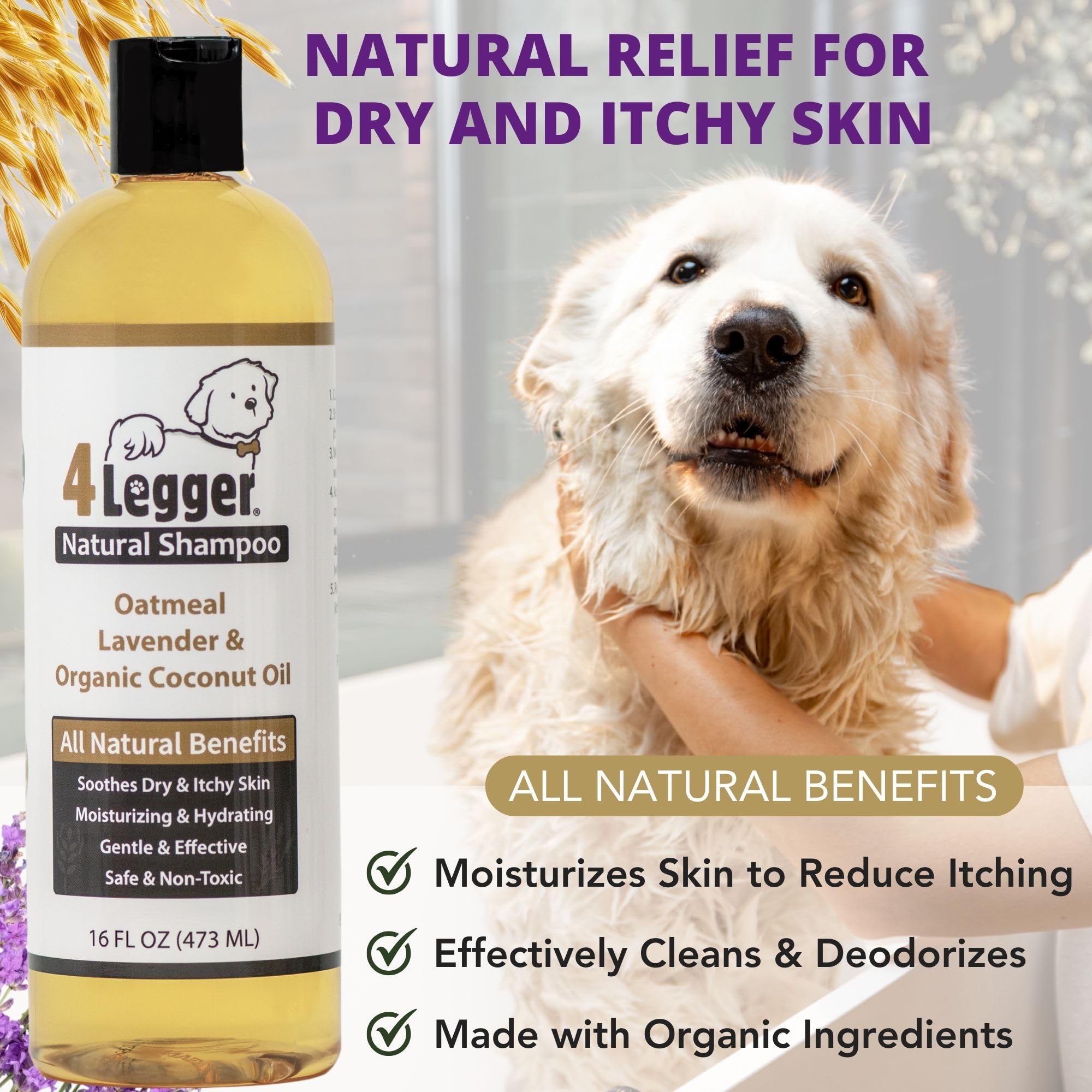 4Legger Organic Dog Shampoo Usda Certified Organic, All Natural Hypoallergenic Dog Shampoo With Oatmeal, Lavender, And Coconut Oil - Organic Oatmeal Shampoo For Dogs - Dog Shampoo For Itchy Skin 16 Oz