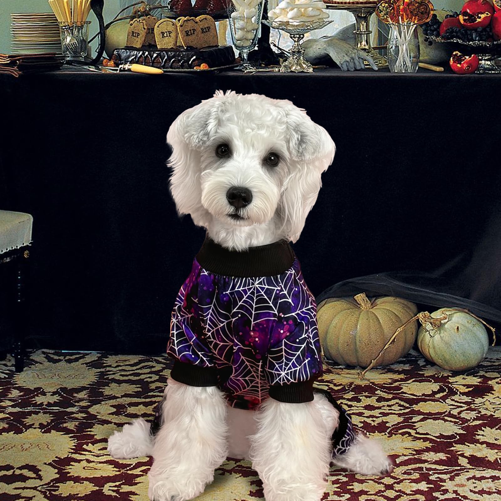 Xpudac Halloween Dog Pajamas For Small Medium Dogs Spider Puppy Costume Soft Pet Clothes Outfit Cat Jumpsuits, Large
