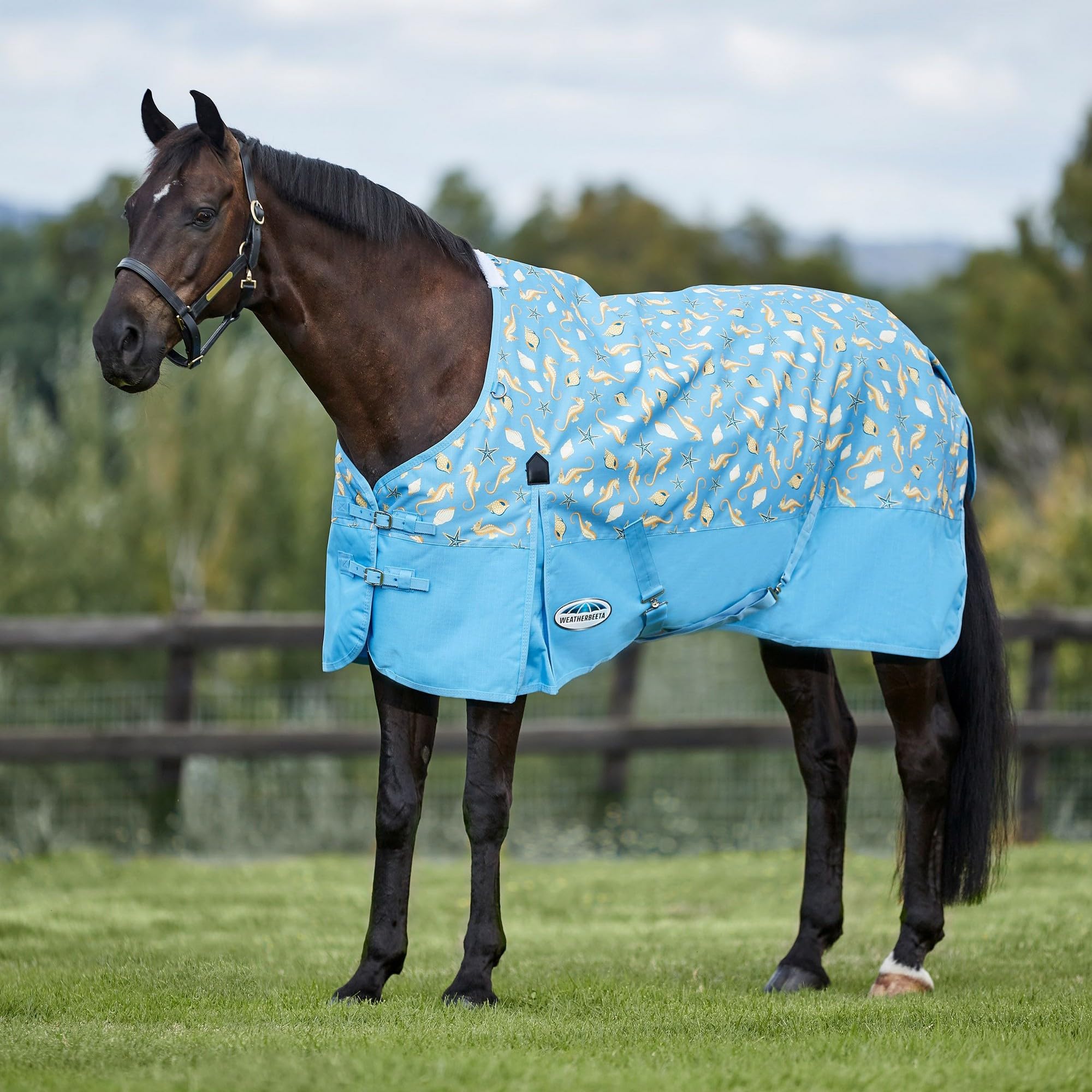 Weatherbeeta Comfitec Essential Standard Neck Lite Horse Blanket, Seahorse Print, 72'