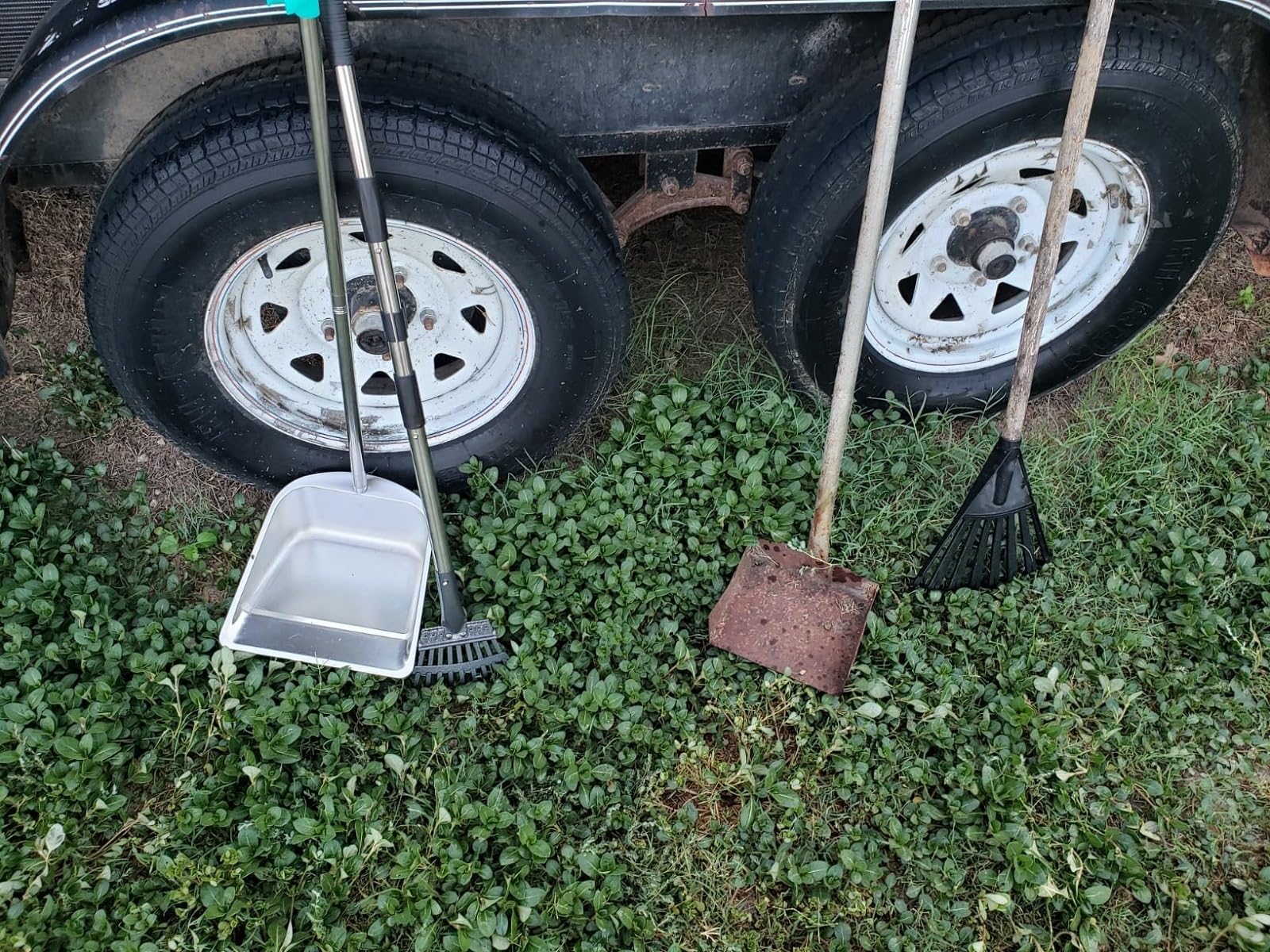 Indiedouker Dog Pooper Scooper For Large Dogs With Large Capacity Tray And 36'' Long Handle Rake,Heavy Duty Dog Poop Scooper For