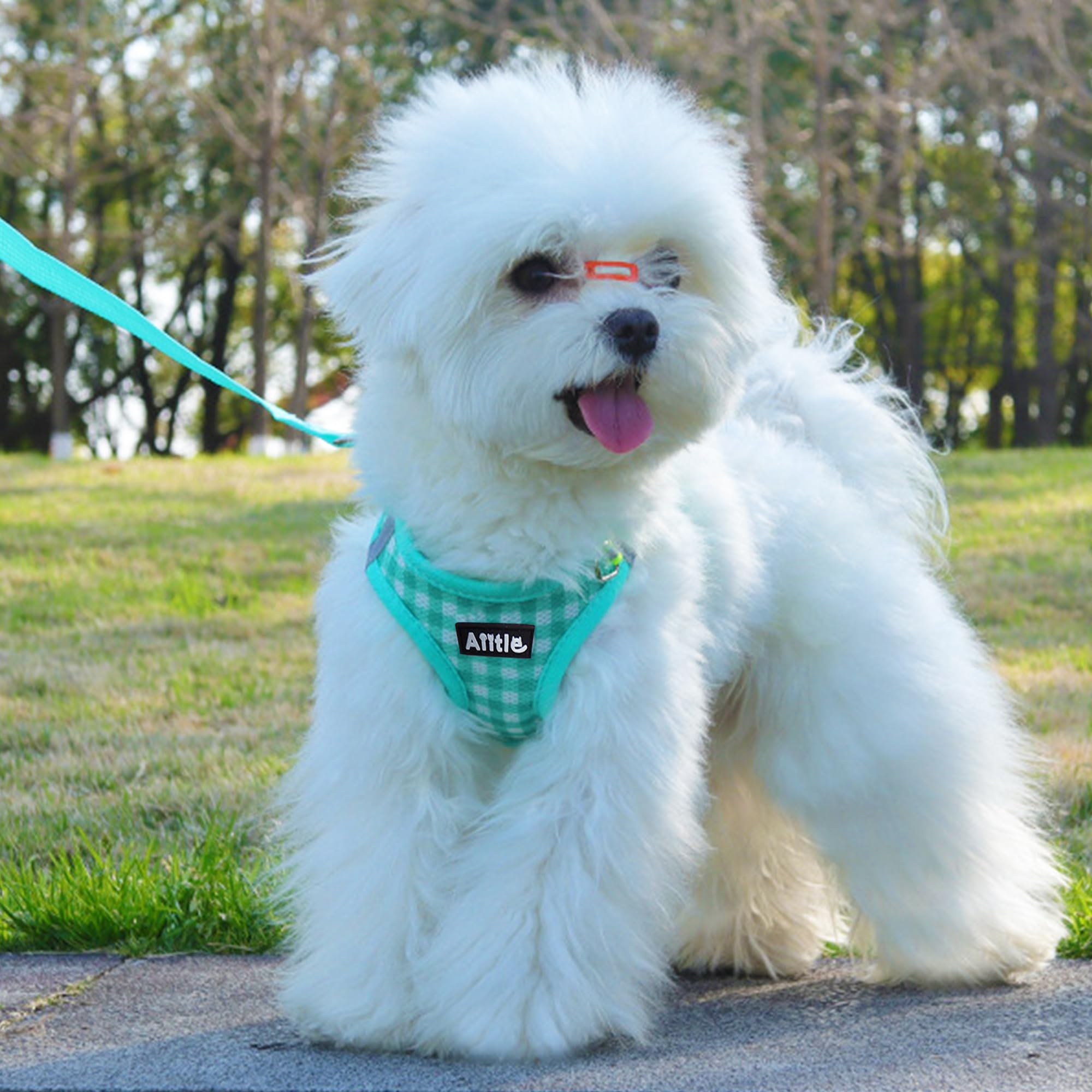 Aiitle Adjustable Dog Harness And Leash Set, Step In No Pull Pet Harness, Soft Mesh Reflective Plaid Vest Harnesses For Small Do