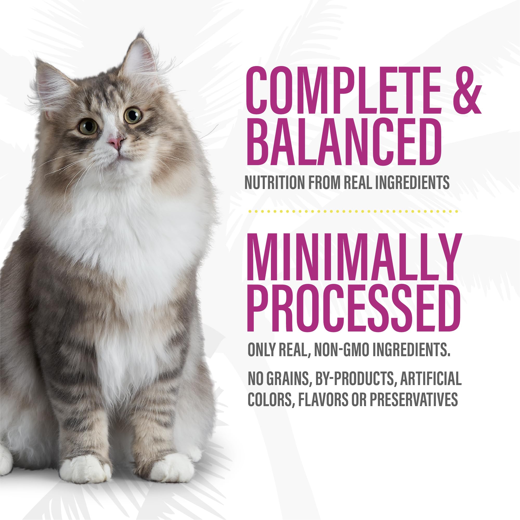 Tiki Cat After Dark Pt  , Variety Pack, High-Protein and 100% Non-GMO Ingredients, Wet Cat Food for Adult Cats, 3 oz. Cans (Pack
