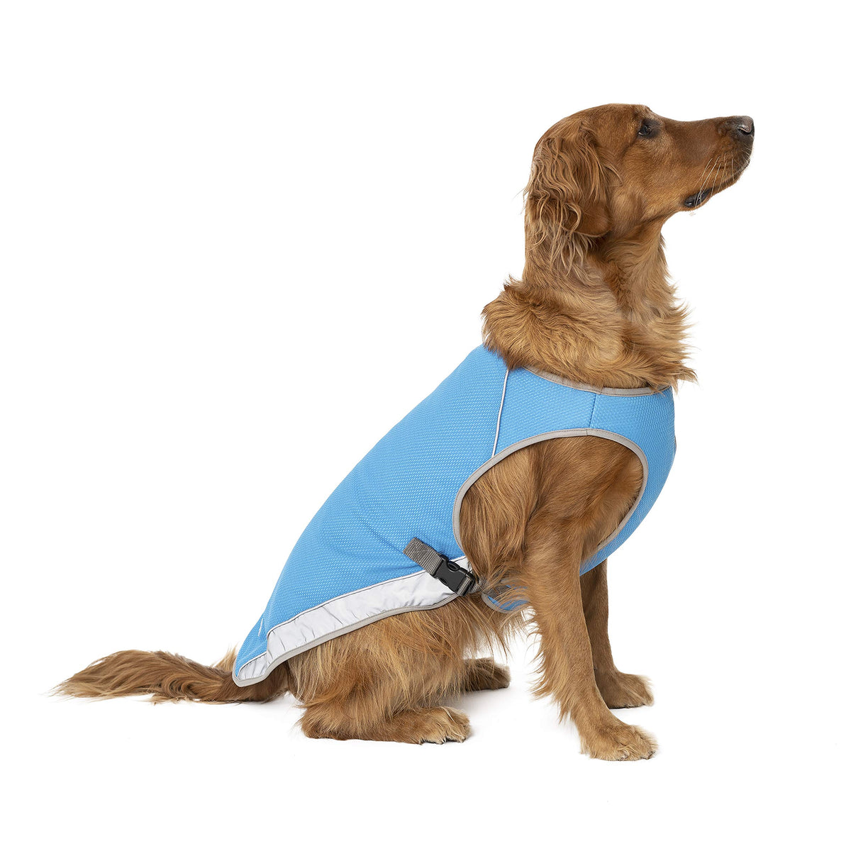 Canada Pooch Dog Cooling Vest - Evaporative Cooling Vest For Dogs With Breathable Mesh Material & Reflective Lining, Adjustable Dog Cooling Vest (32 (31-33' Back Length), Aqua)