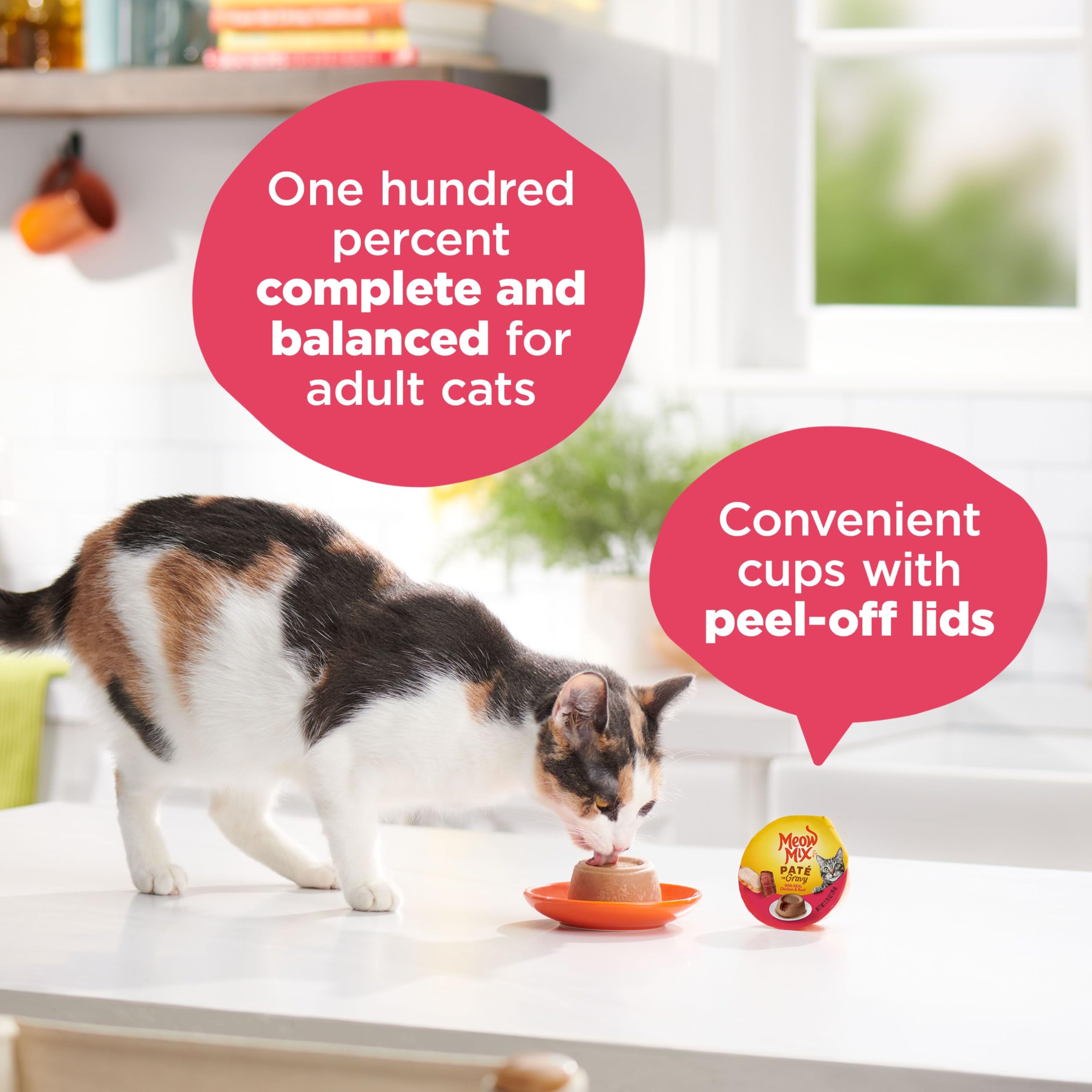 Meow Mix Pat   in Gravy Wet Cat Food with Real Chicken & Beef, 2.75 Ounce (Pack of 12)