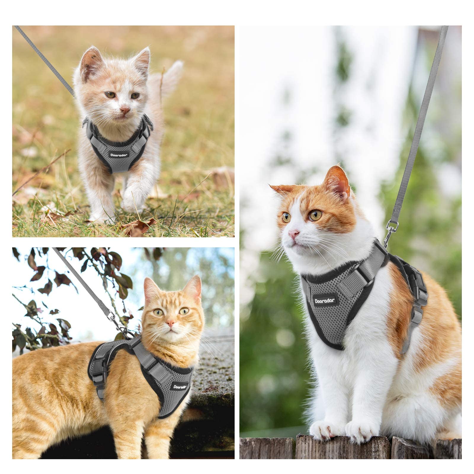 Dooradar Cat Harness And Leash Set, Escape Proof Safe Adjustable Kitten Vest Harnesses For Walking, Easy Control Soft Breathable Mesh Jacket With Reflective Strips For Cats, Grey, S