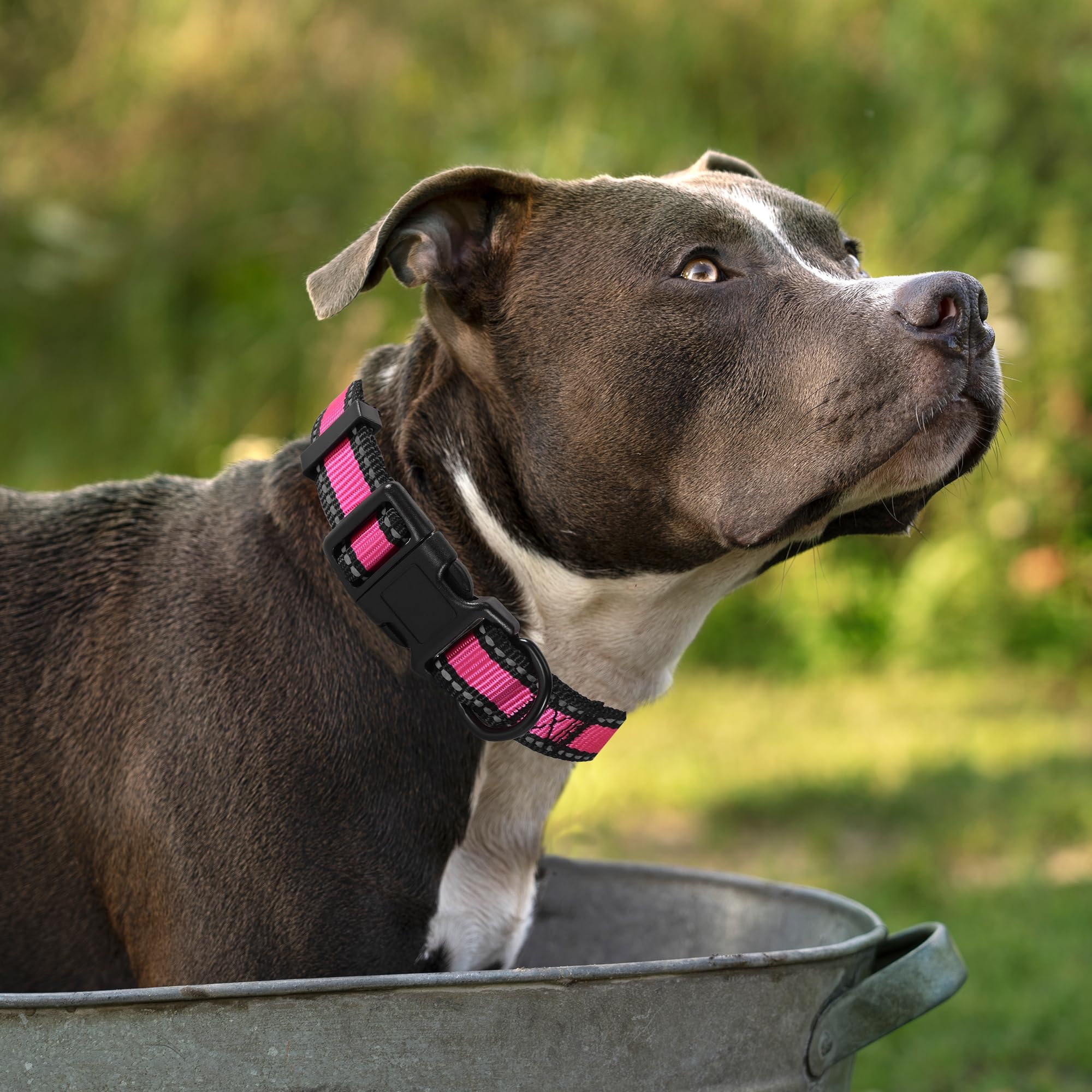 Mile High Life Dog Collar | Nylon Reflective Dog Collars | Light Weight Puppy Collars | Pink Dog Collars For Small Dogs (Pink, X