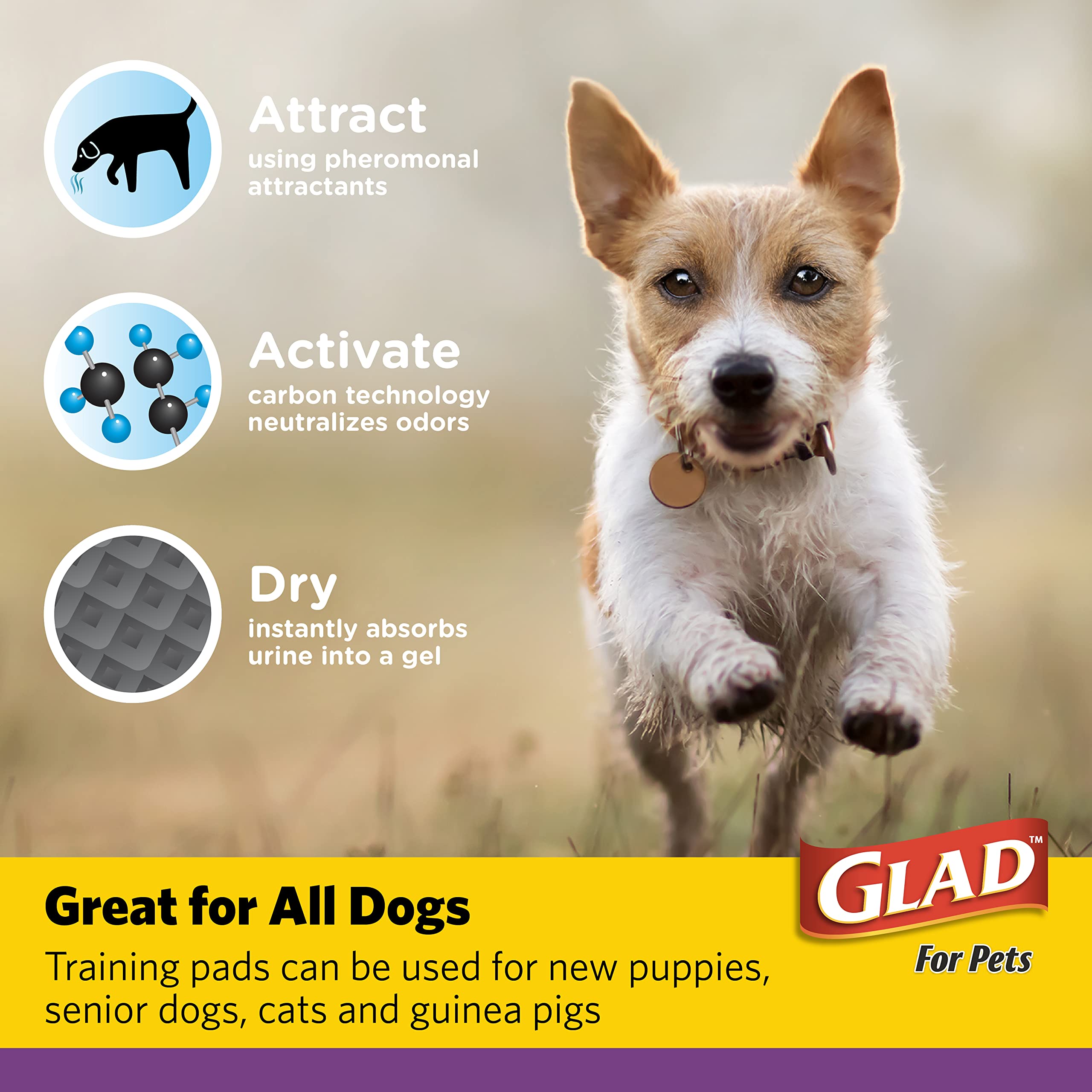 Glad For Pets Jumbo-Size Charcoal Puppy Pads | Black Training Pads That Absorb & Neutralize Urine Instantly | New & Improved Quality Puppy Pee Pads, 60 Count