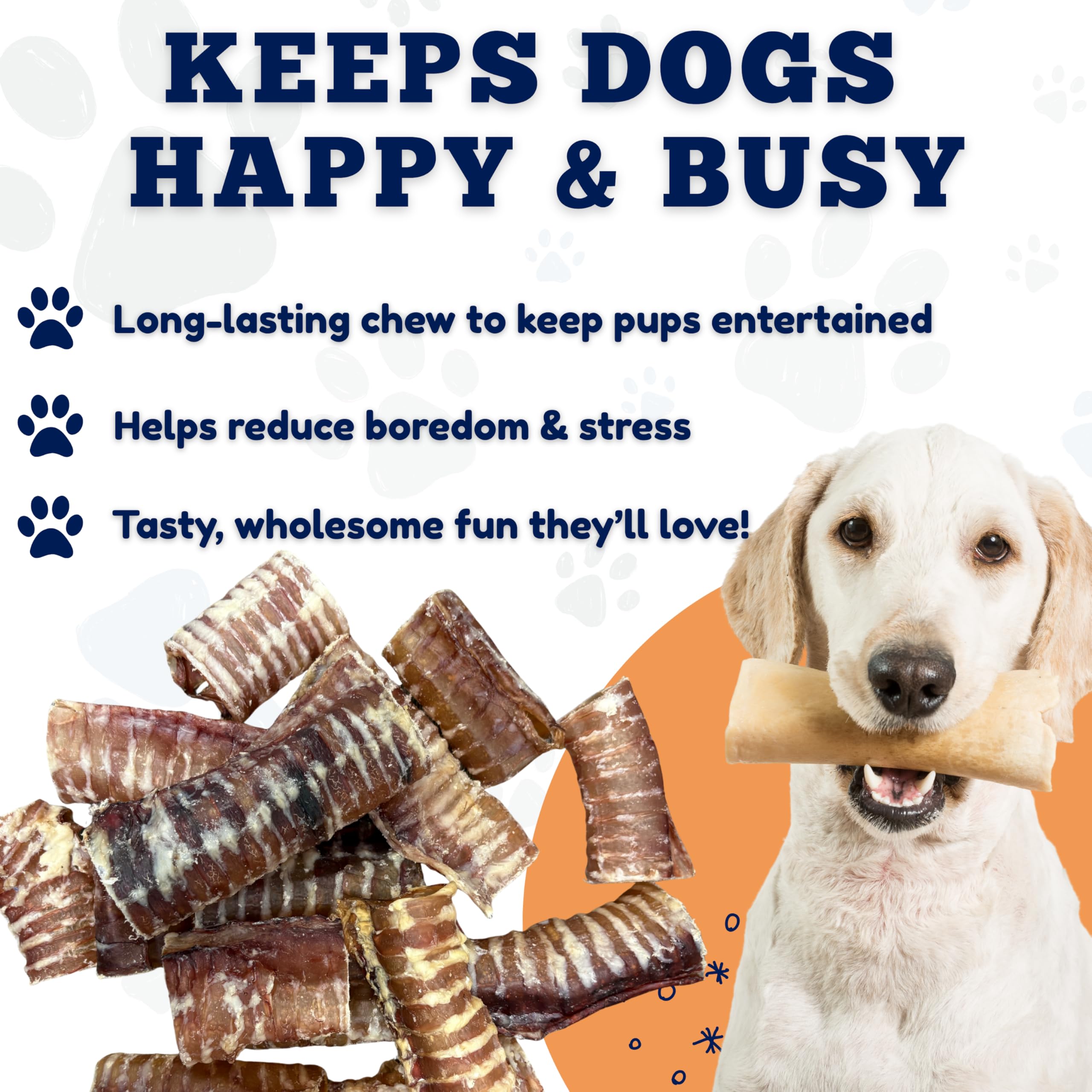 Amazing Dog Treats - Beef Trachea Rings (3-4 Inch, 12 Count) -Premium Dog Chews- Great for Small Size Dogs - Excellent Source of