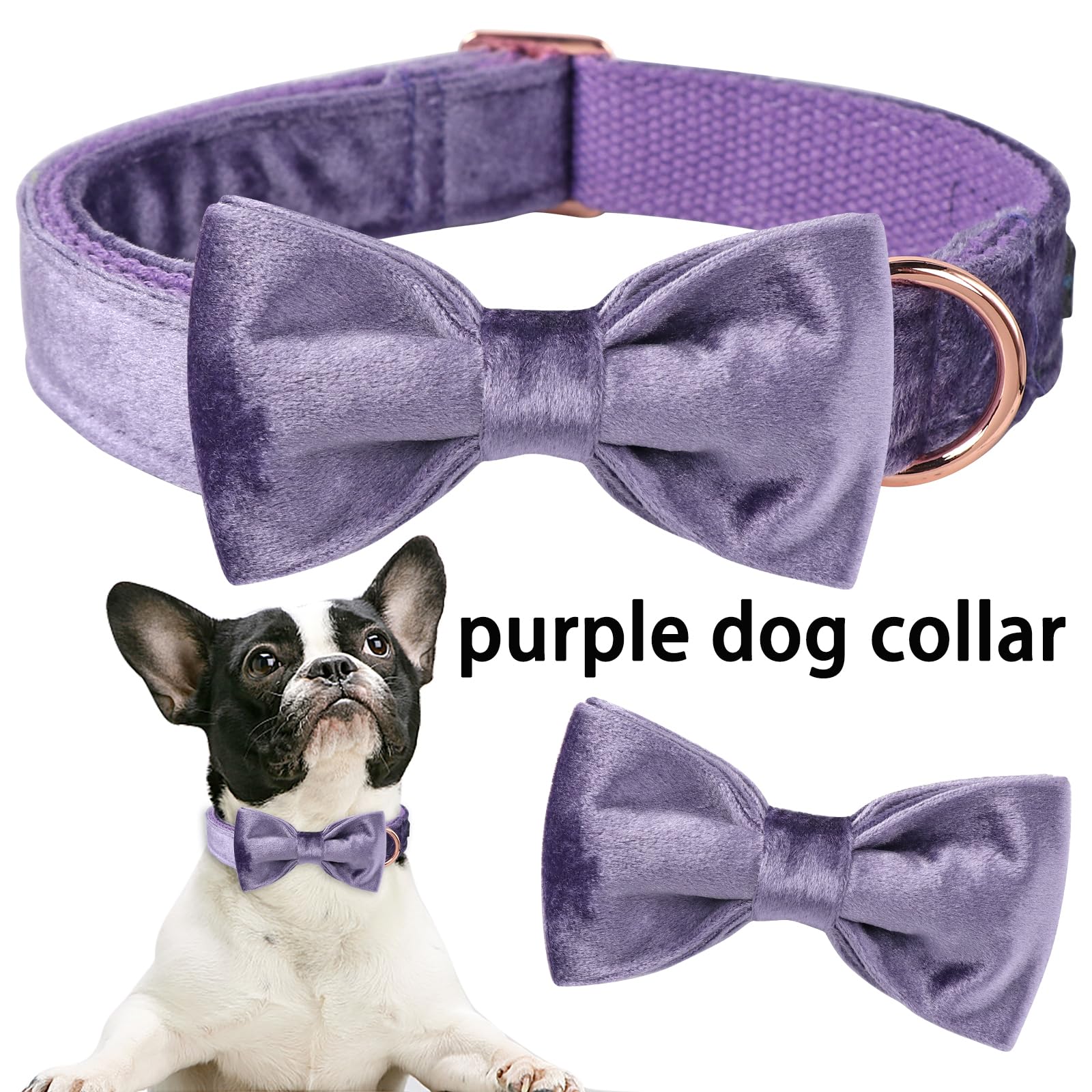 ARING PET Bowtie Dog Collar-Velvet Dog Collars with Removable Bowtie, Cute &Comfortable Purple Dog Collar,Small.