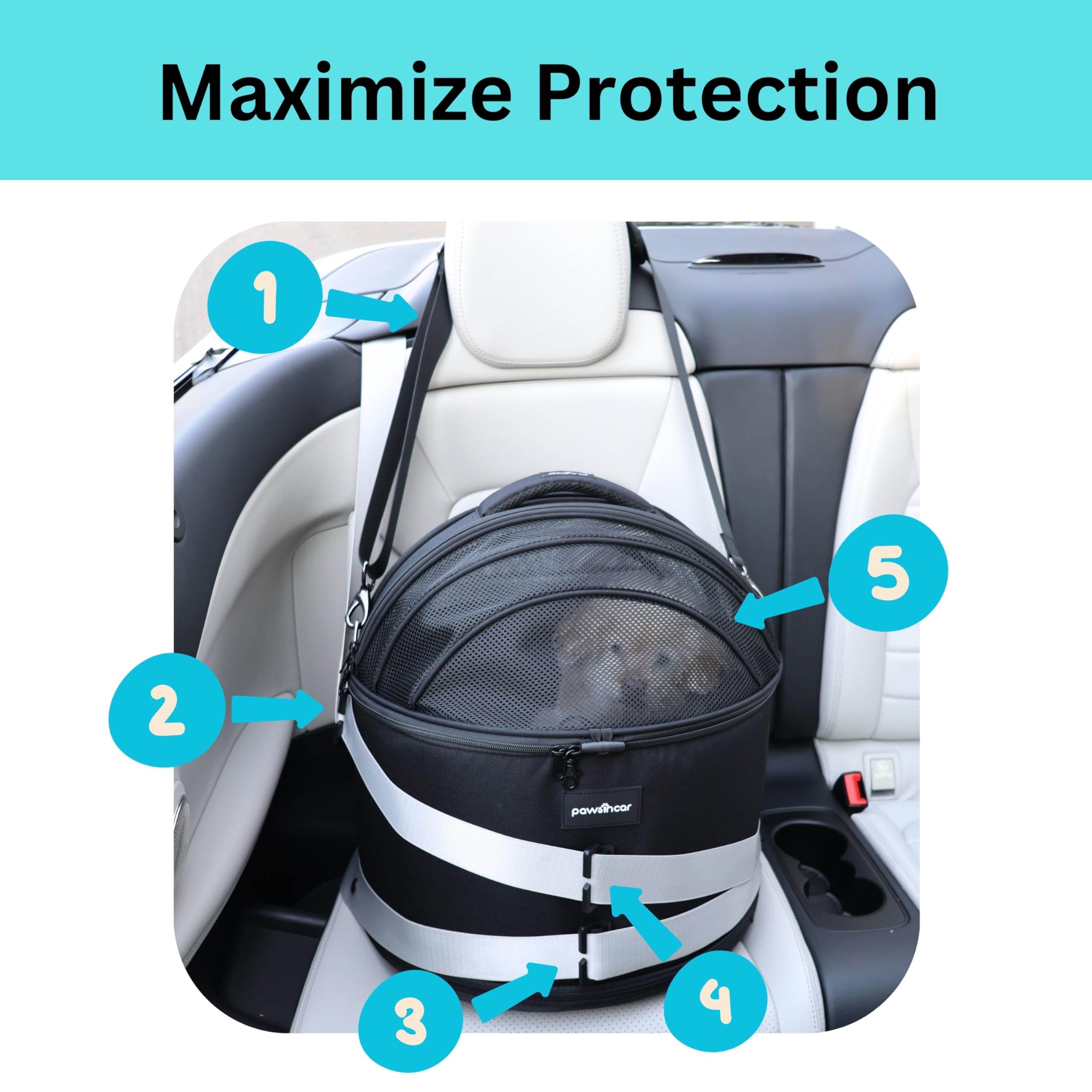 Crash-Tested Dog Car Seats for Small Dogs Under 25 lbs | 3-in-1 Small Dog Car Seat, Enclosed Cat Bed, Portable Pet Carrier | 5-S