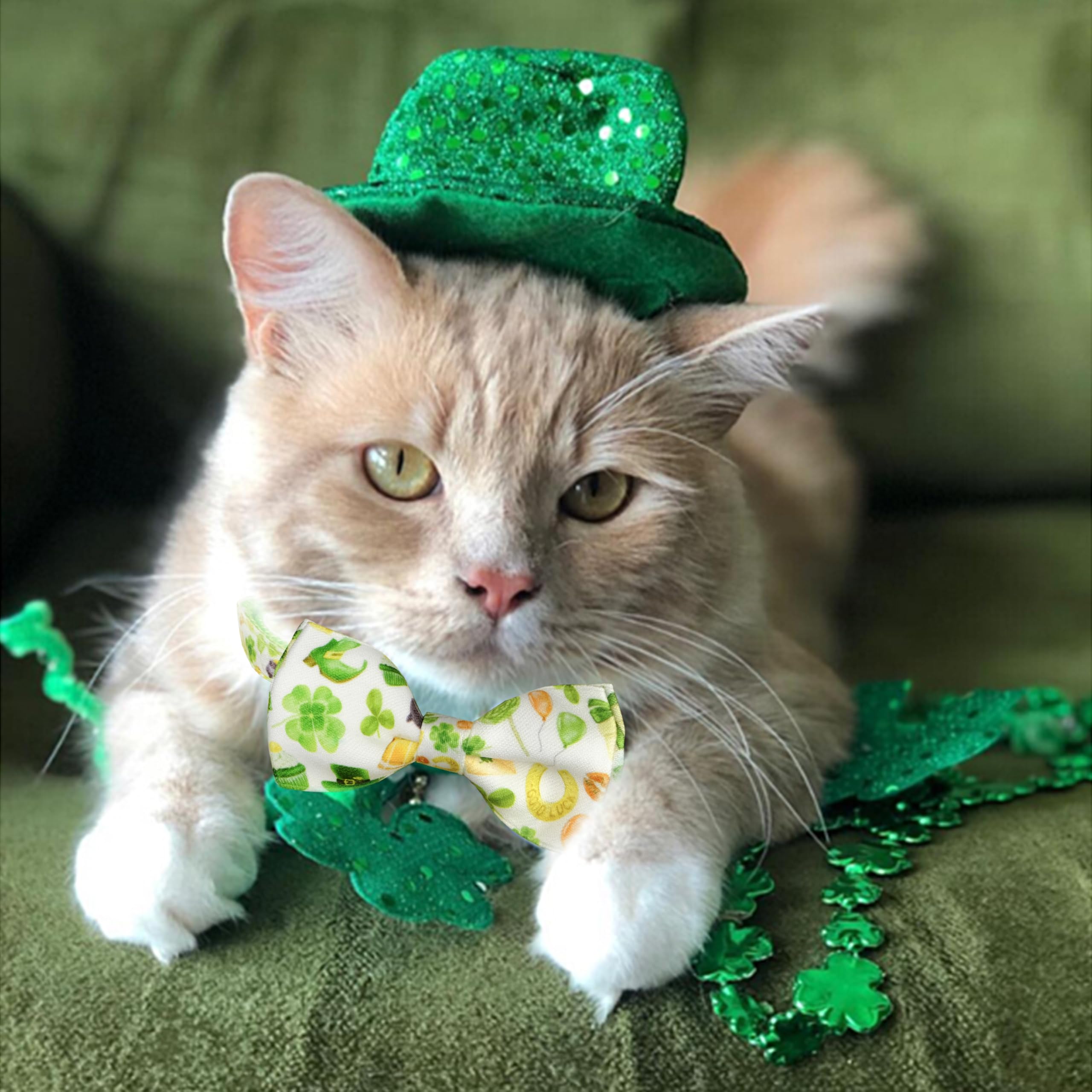 St. Patrick'S Day Cat Bowtie - Green Clover Pattern With Festive Holiday Charms For Cats & Small Pets, Adjustable Pet Collar Wit