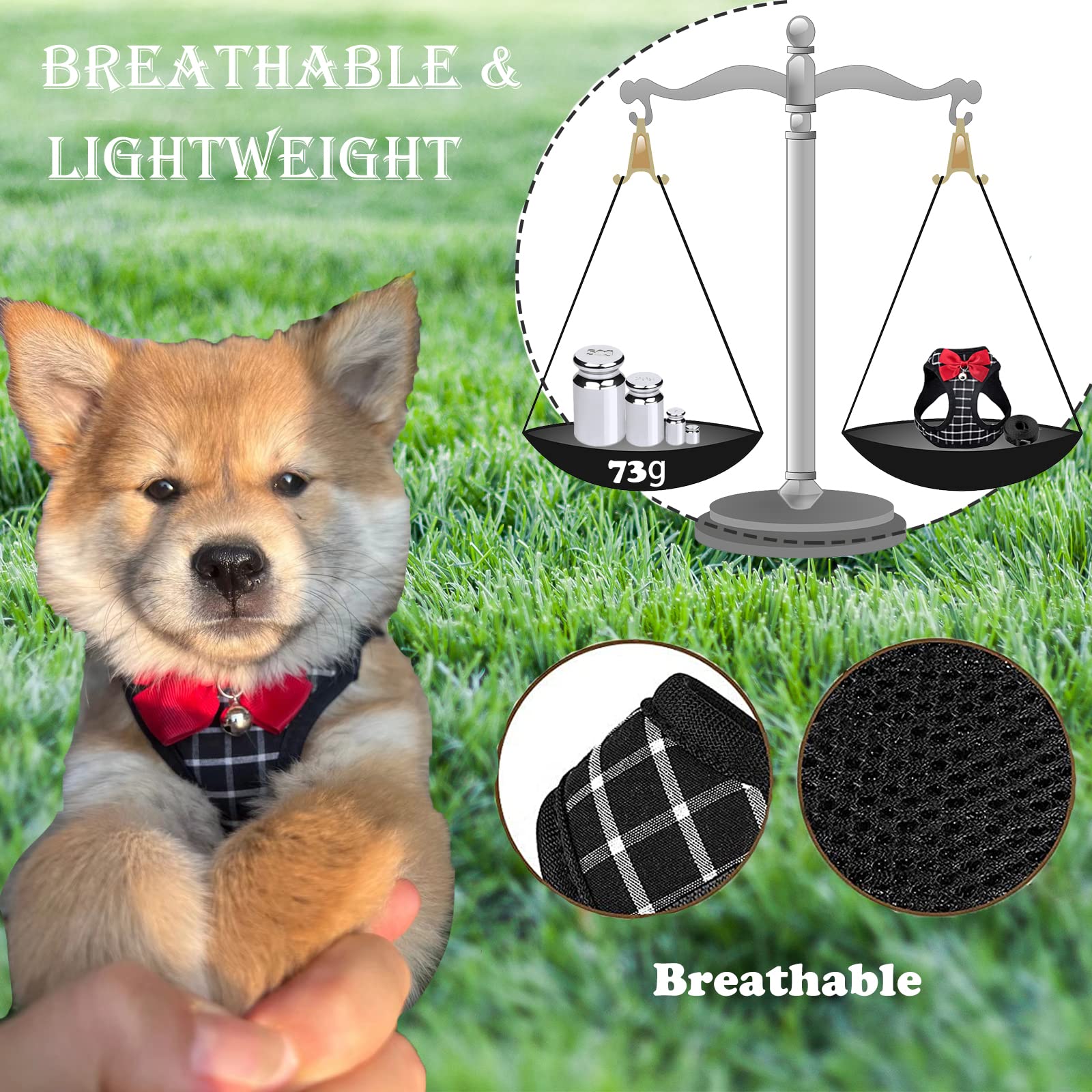 BLUWTE Cat Harness and Leash,Breathable Dog Harness,Pet Harness,Cats Leash and Harness Set for Puppy Cat Rabbit (Black, XS)