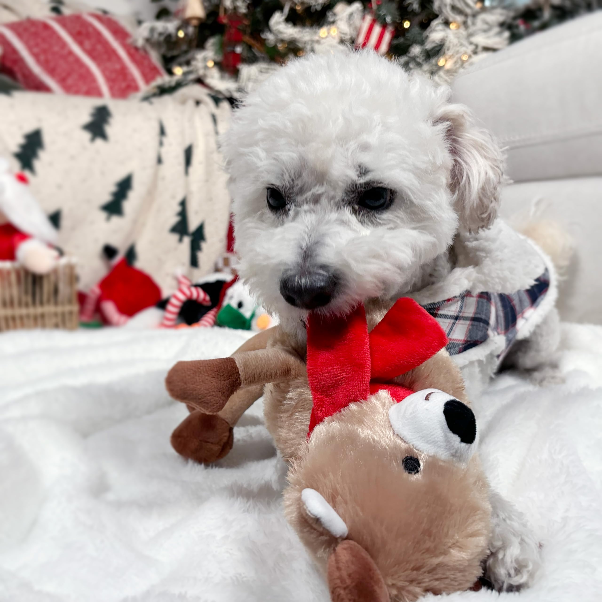 Giftable World Holiday Plush Pet Toy Fun For Christmas Designs With Squeaker Dog Chew Toy (13'' Long Legs Reindeer W/Squeaky Bal
