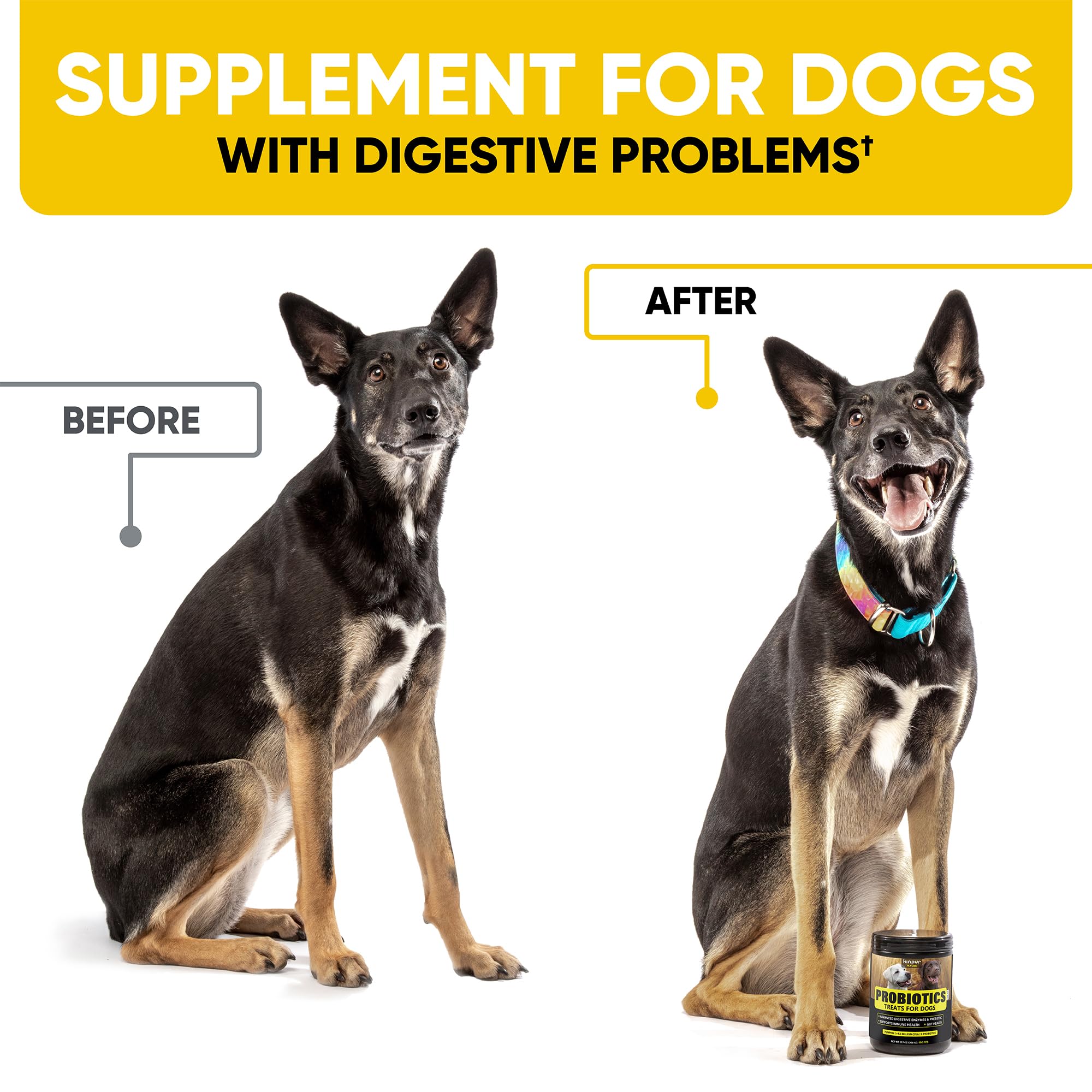 Probiotics Chews for Dogs w/Digestive Enzymes - Dog Probiotics to Support Gut Health, Alleviate Dog Itch, Soothe Itchy Skin, Dog