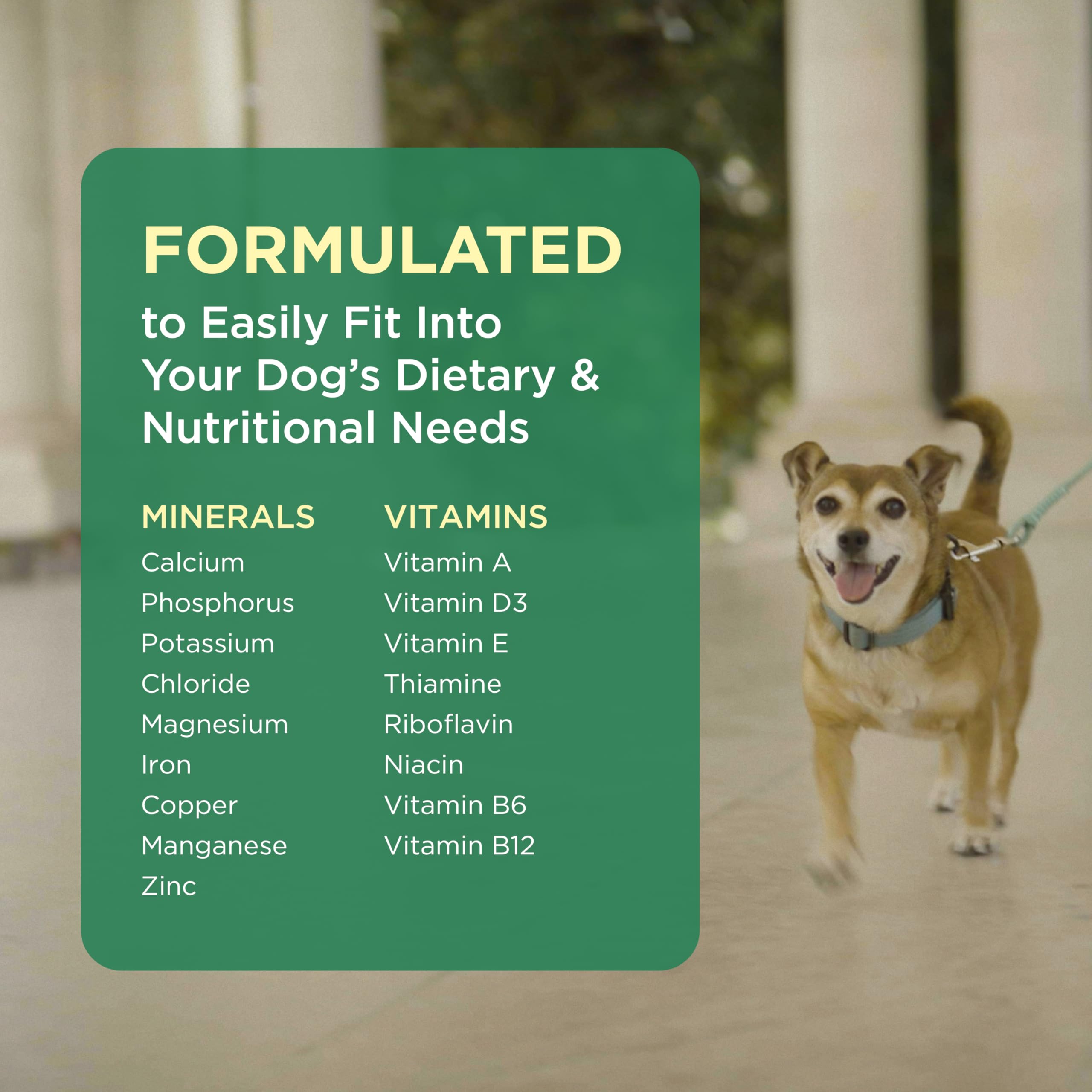 Pet-Tabs Multivitamin and Mineral Supplement for Dogs with Special Nutritional Needs, Chewable Tablet, 500 Count Bottle for Mult