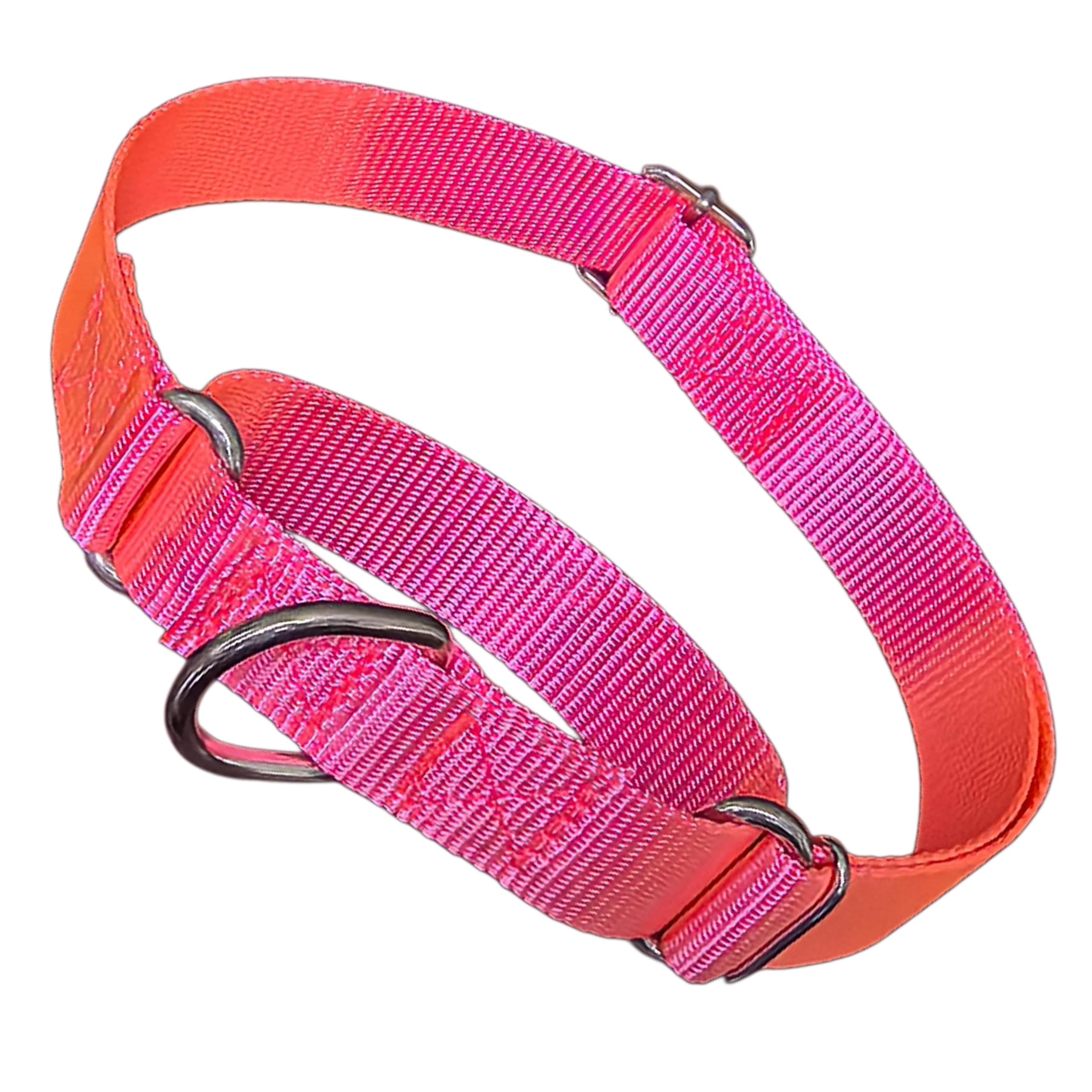 Martingale Dog Collar, No Pull Choke Dog Collar Escape Proof Cinch Dog Training Collars Adjustable For Small Medium Large Breed 