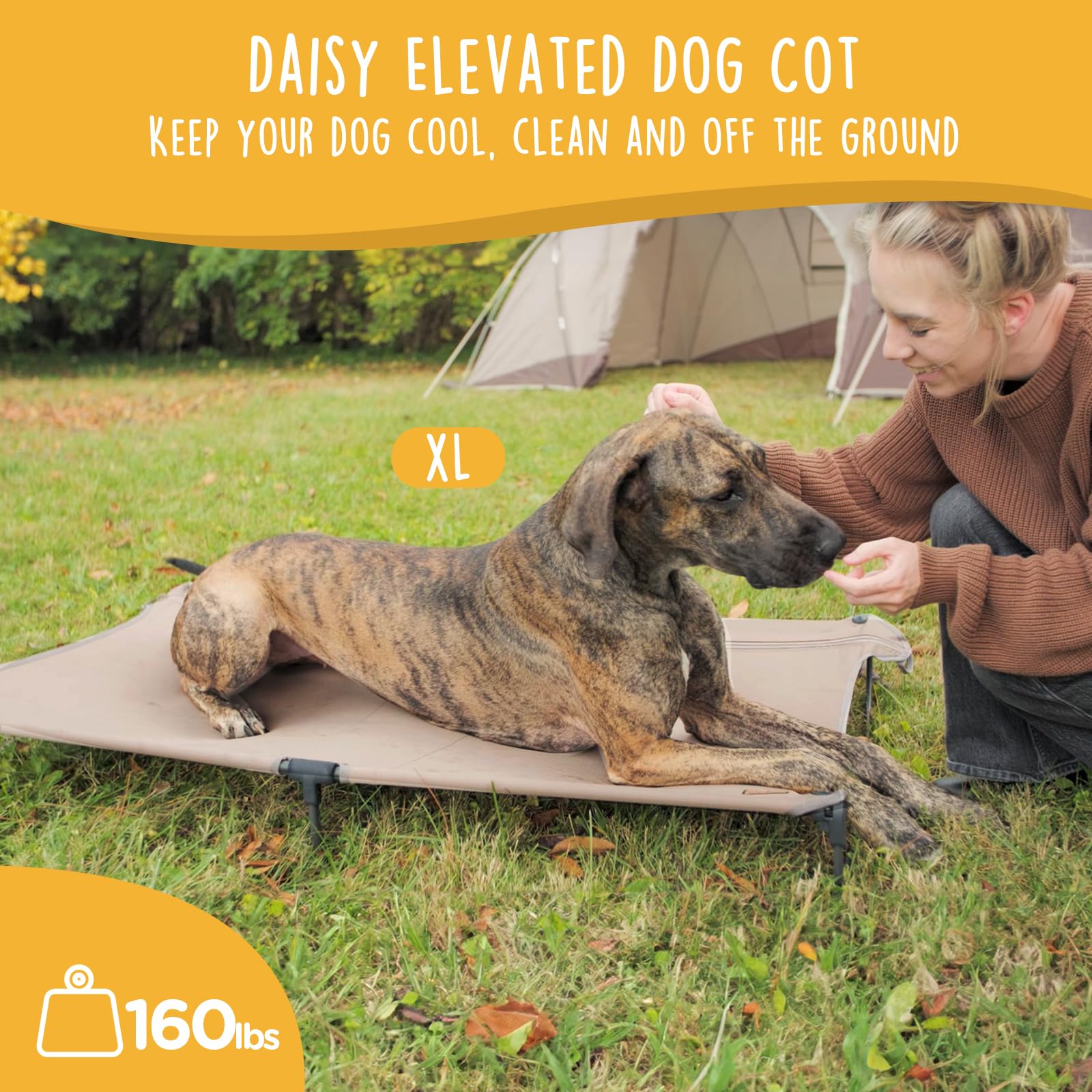 Canine Canyon Daisy Cot, Xl Foldable Elevated Dog Bed, Portable Raised Outdoor Folding Dog Cot, Cooling, Chew Proof, Waterproof,