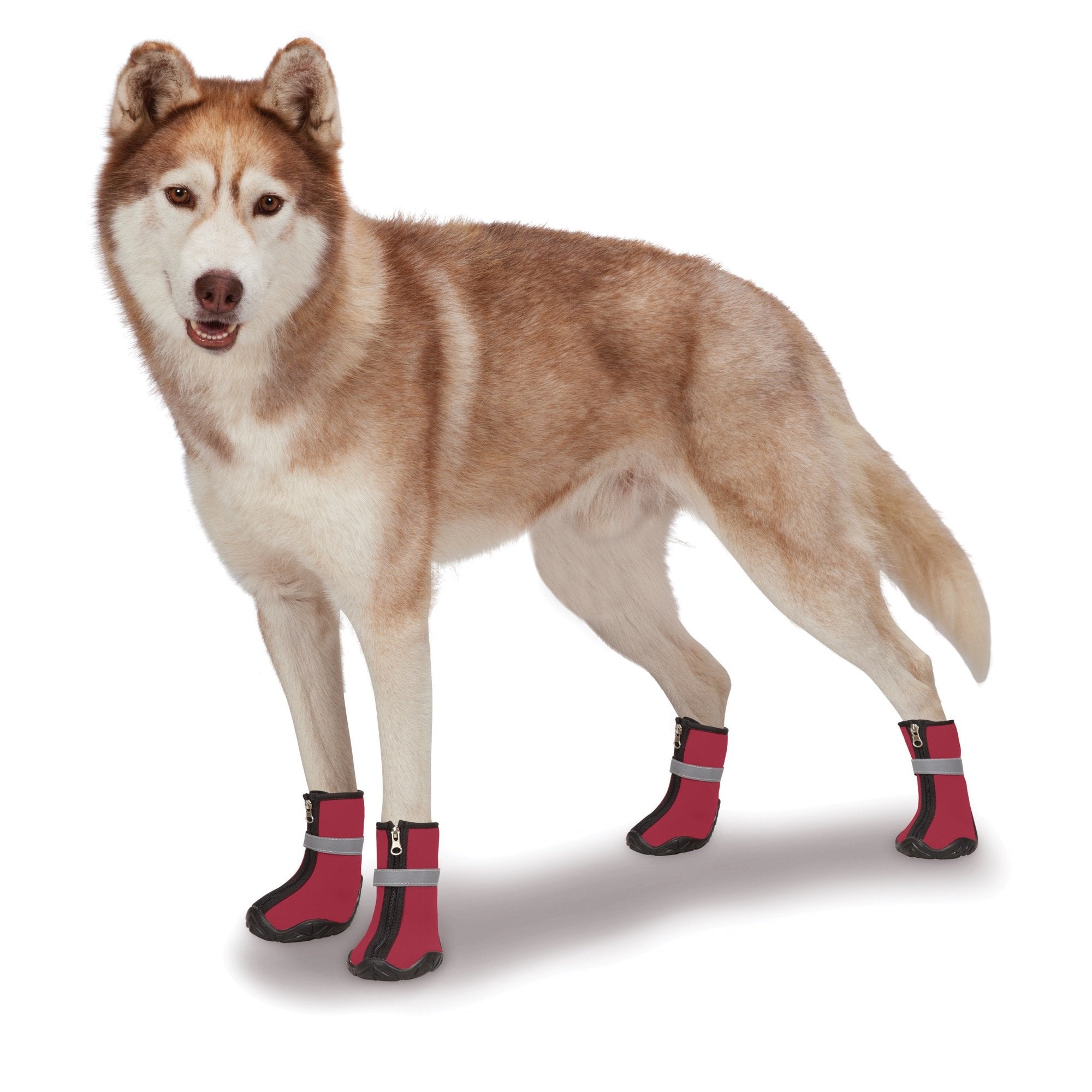 Zack & Zoey ThermaPet Neoprene Boots, Blue, Medium