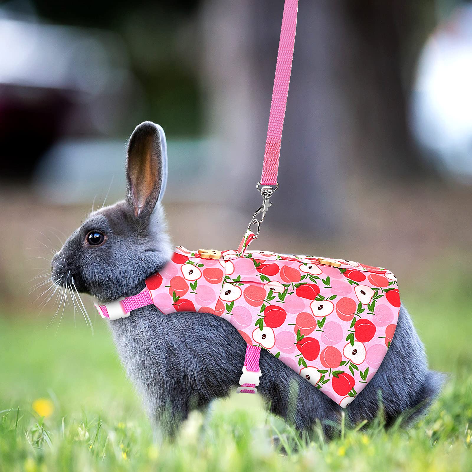 3 Piece Cute Rabbit Leash And Harness Set, Bunny Rabbit Dress Clothes Walking Harness Vest Escape Proof Pet Supply For Rabbit Hedgehog Ferret Guinea Pig (Peach, Pineapple, Strawberry)