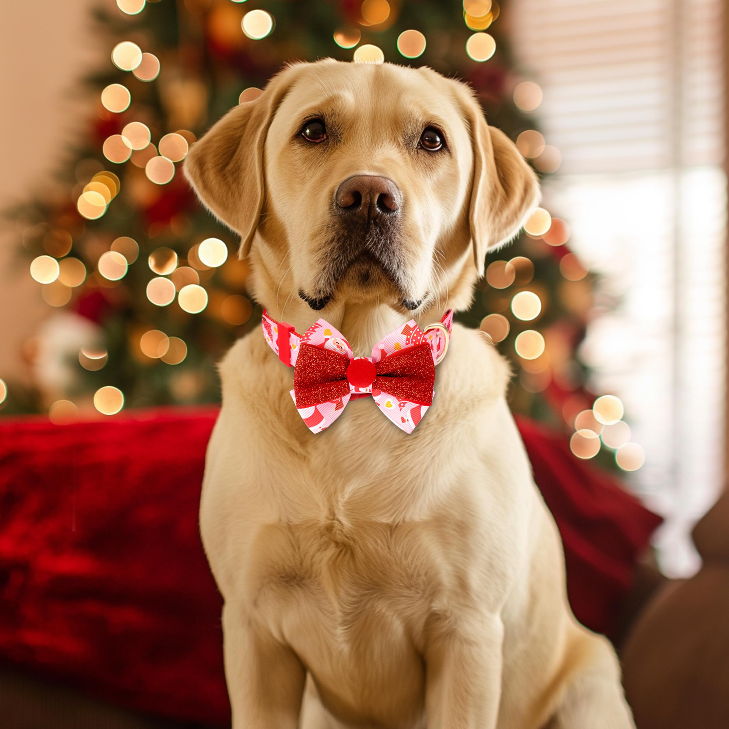 Azuza Christmas Dog Collar With Santa Print And Removable Red & Pink Bowtie, Adjustable Collar Accessory For Medium Dogs