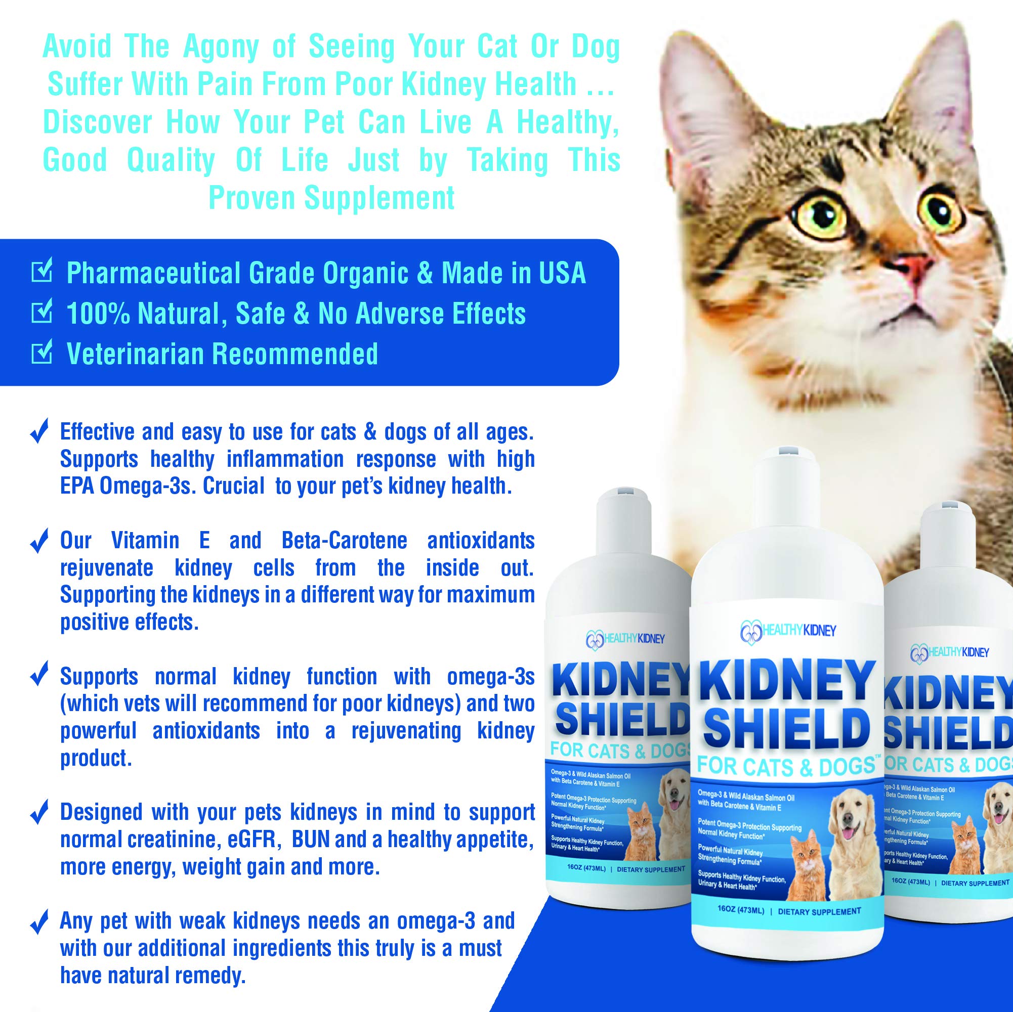 Dog and Cat Kidney Support, Canine Feline Renal Health Support Supplement For Normal Kidney Function, Creatinine, Detox, Urinary