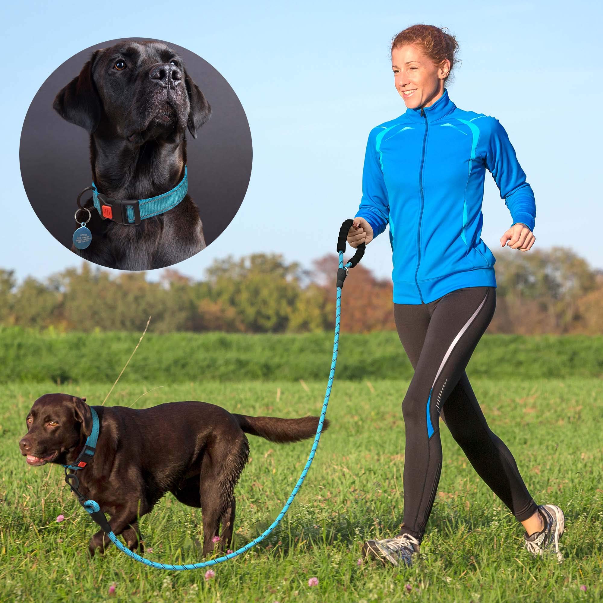 Ladoogo Heavy Duty Dog Leash - Comfortable Padded Handle, 5 Ft Long - Dog Leashes For Small Medium Large Dogs (Leash+Collar M Neck 16'-20', Blue)
