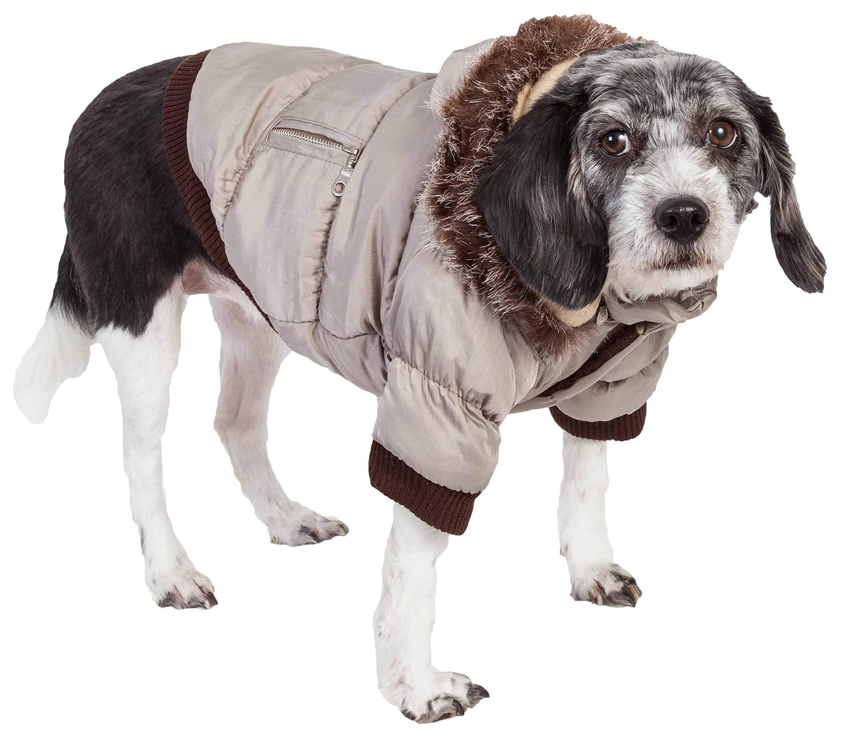 Pet Life DPF00005 Metallic Ski Parka Dog Coats with Removable Hood, Large, Gray